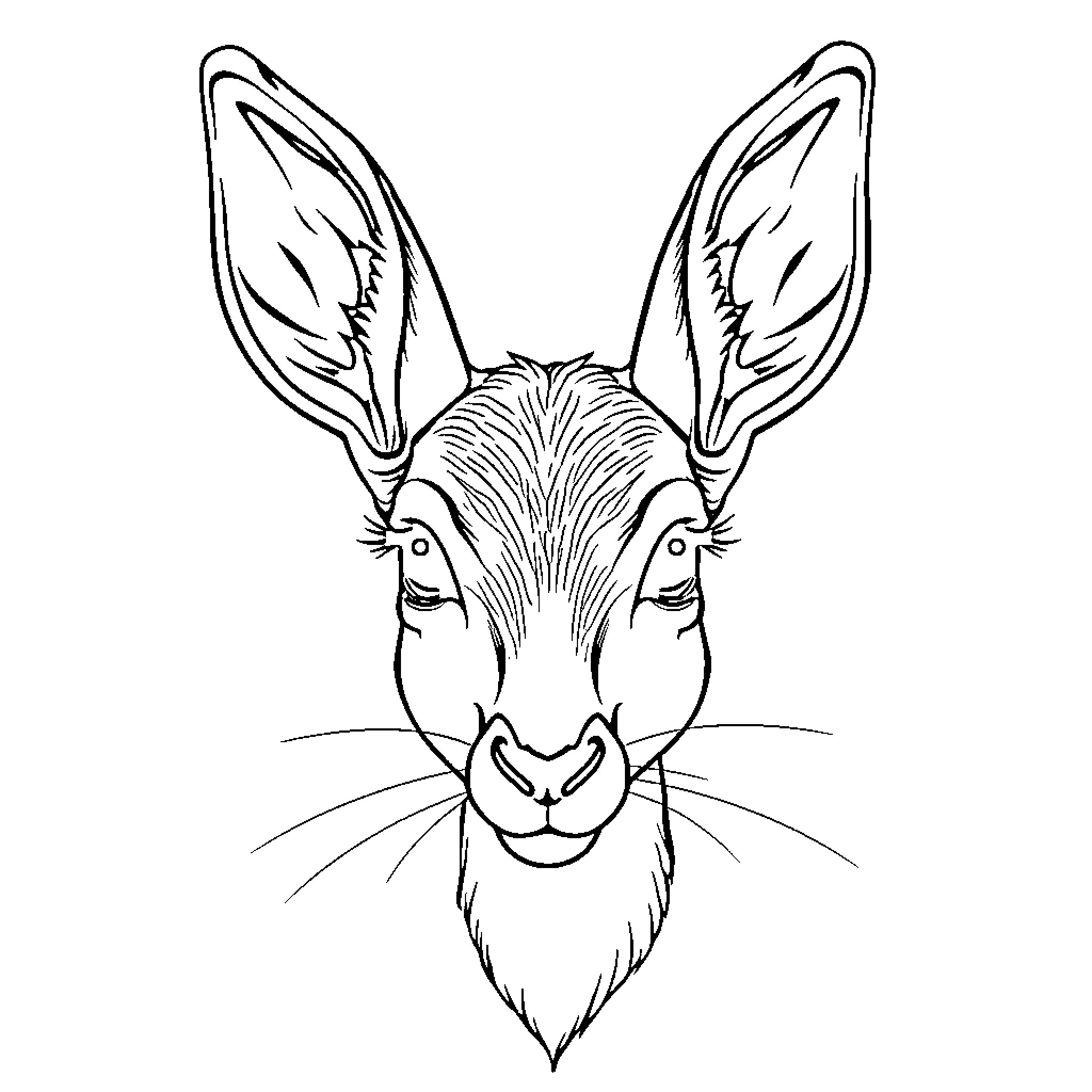 Deer with expressive face and large ears Coloring Page (free black-and-white line drawing printable PDF for all, from beginners to advanced learners, including children, teens, adults, and seniors)