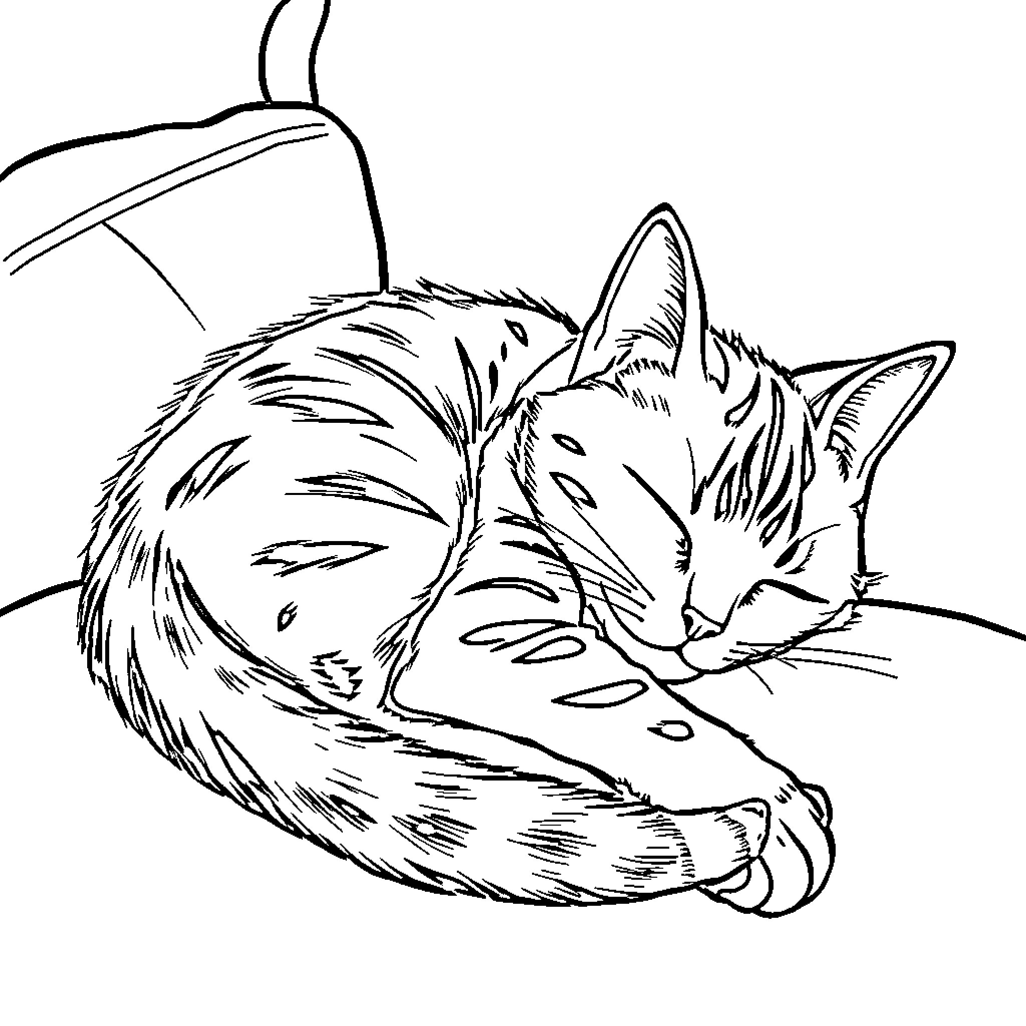 Owl curled up sleeping peacefully Coloring Page (free black-and-white line drawing printable PDF for all, from beginners to advanced learners, including children, teens, adults, and seniors)