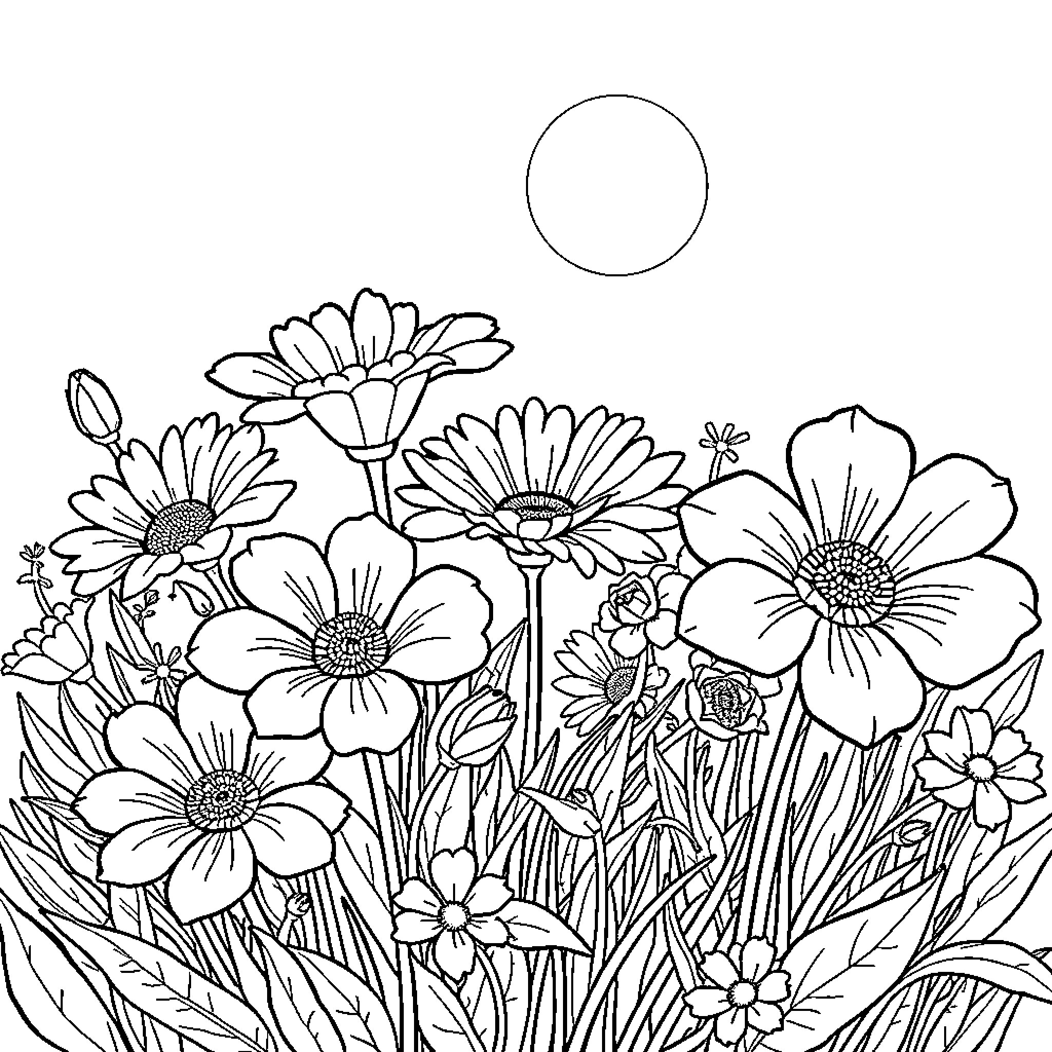 Flower field of beautiful blooms under the sun Coloring Page (free black-and-white line drawing printable PDF for all, from beginners to advanced learners, including children, teens, adults, and seniors)