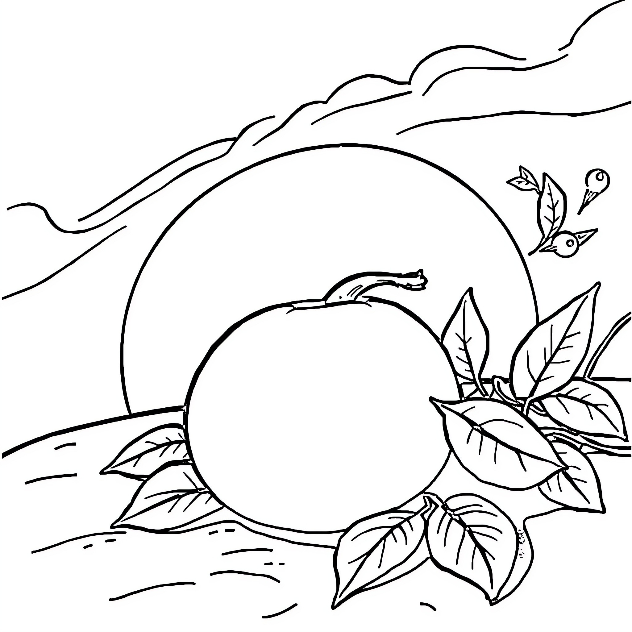 Pumpkin harvest scene with sun and clouds Coloring Page (free black-and-white line drawing printable PDF for all, from beginners to advanced learners, including children, teens, adults, and seniors)