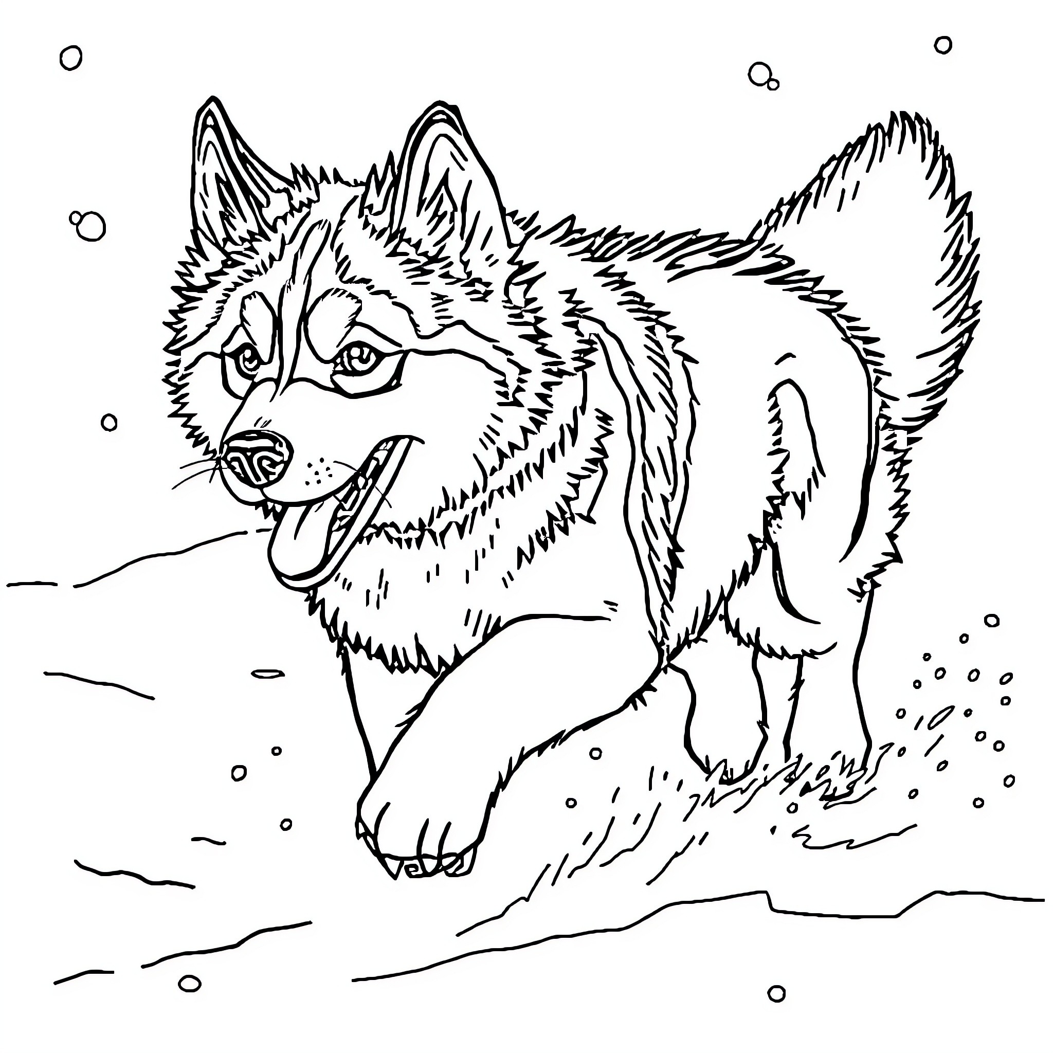Husky running joyfully through the snow Coloring Page (free black-and-white line drawing printable PDF for all, from beginners to advanced learners, including children, teens, adults, and seniors)