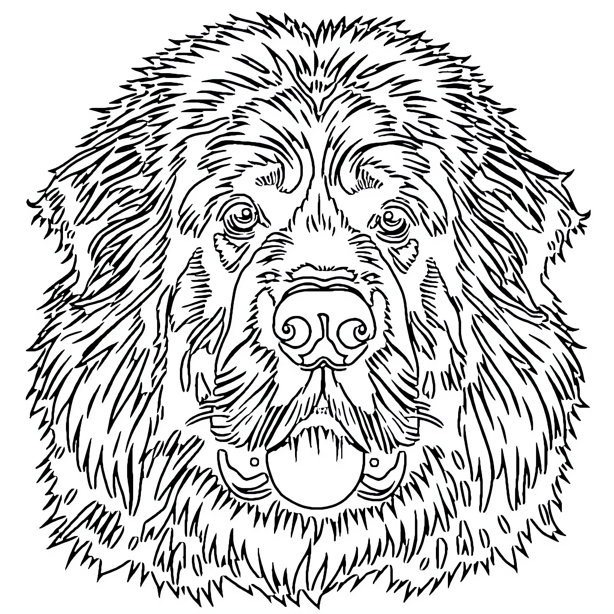 Leonberger dog with expressive facial features Coloring Page (free black-and-white line drawing printable PDF for all, from beginners to advanced learners, including children, teens, adults, and seniors)