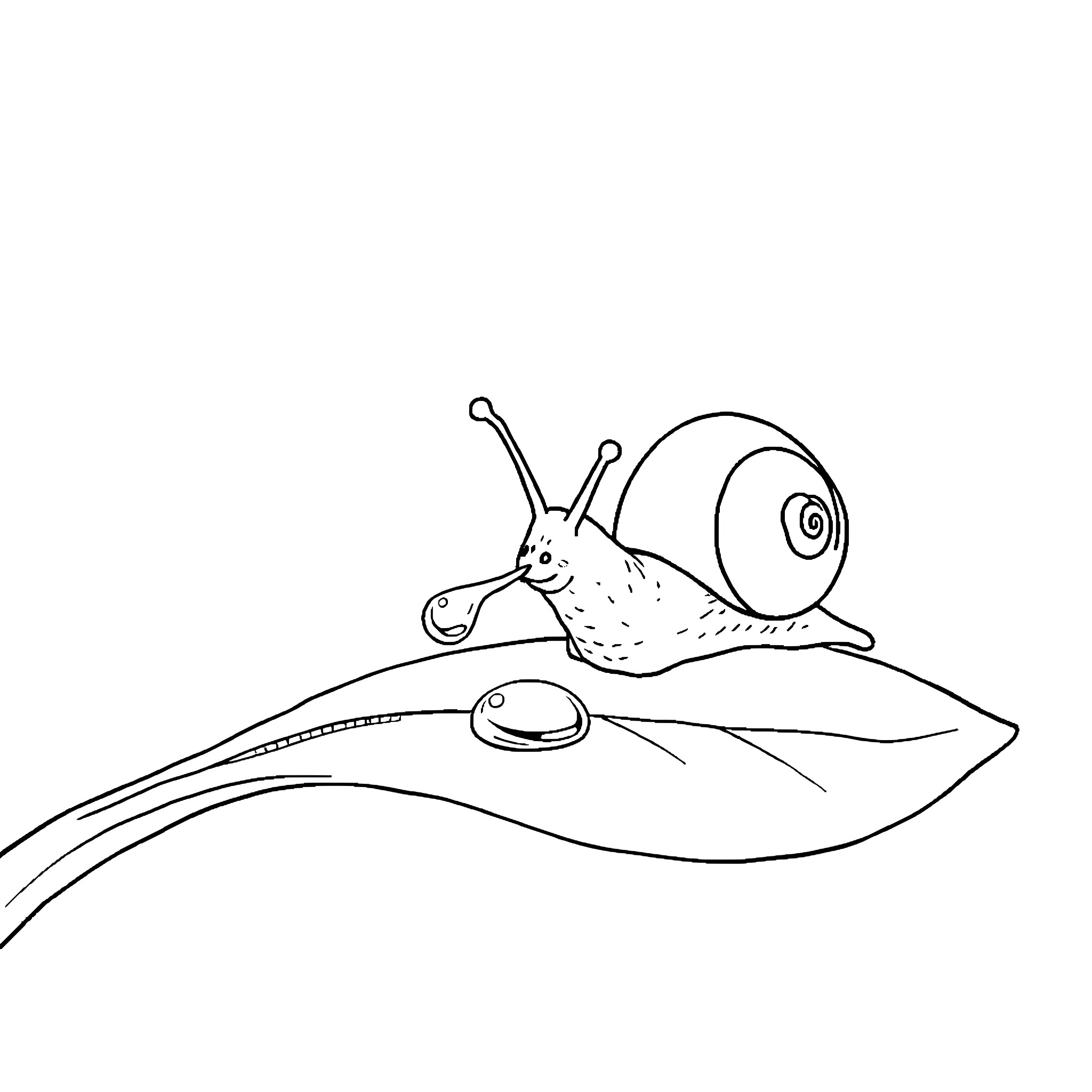 Snail riding on mushroom cap Coloring Page (free black-and-white line drawing printable PDF for all, from beginners to advanced learners, including children, teens, adults, and seniors)