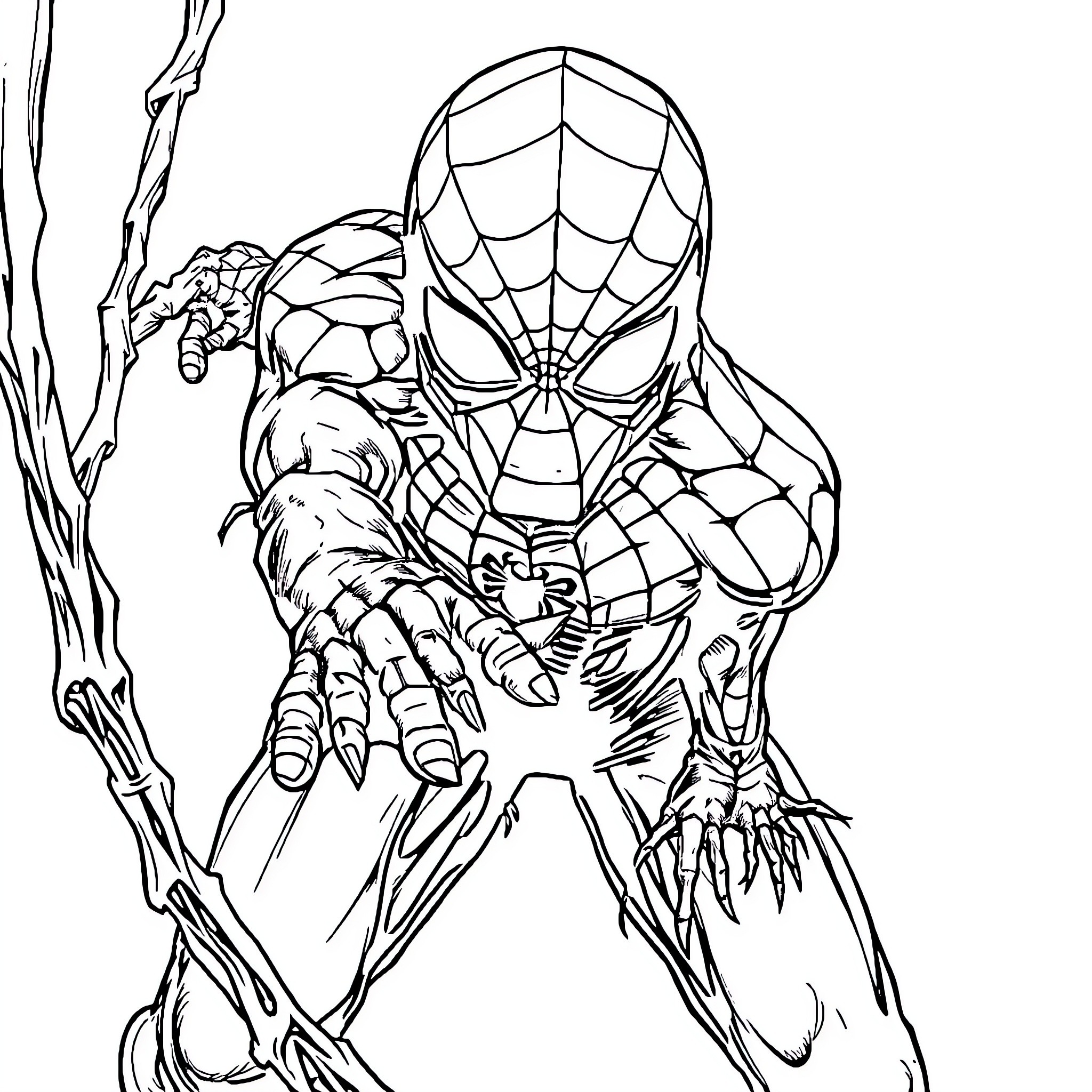 Spider-Man Climbing and Crawling on Branches Coloring Page (free black-and-white line drawing printable PDF for all, from beginners to advanced learners, including children, teens, adults, and seniors)