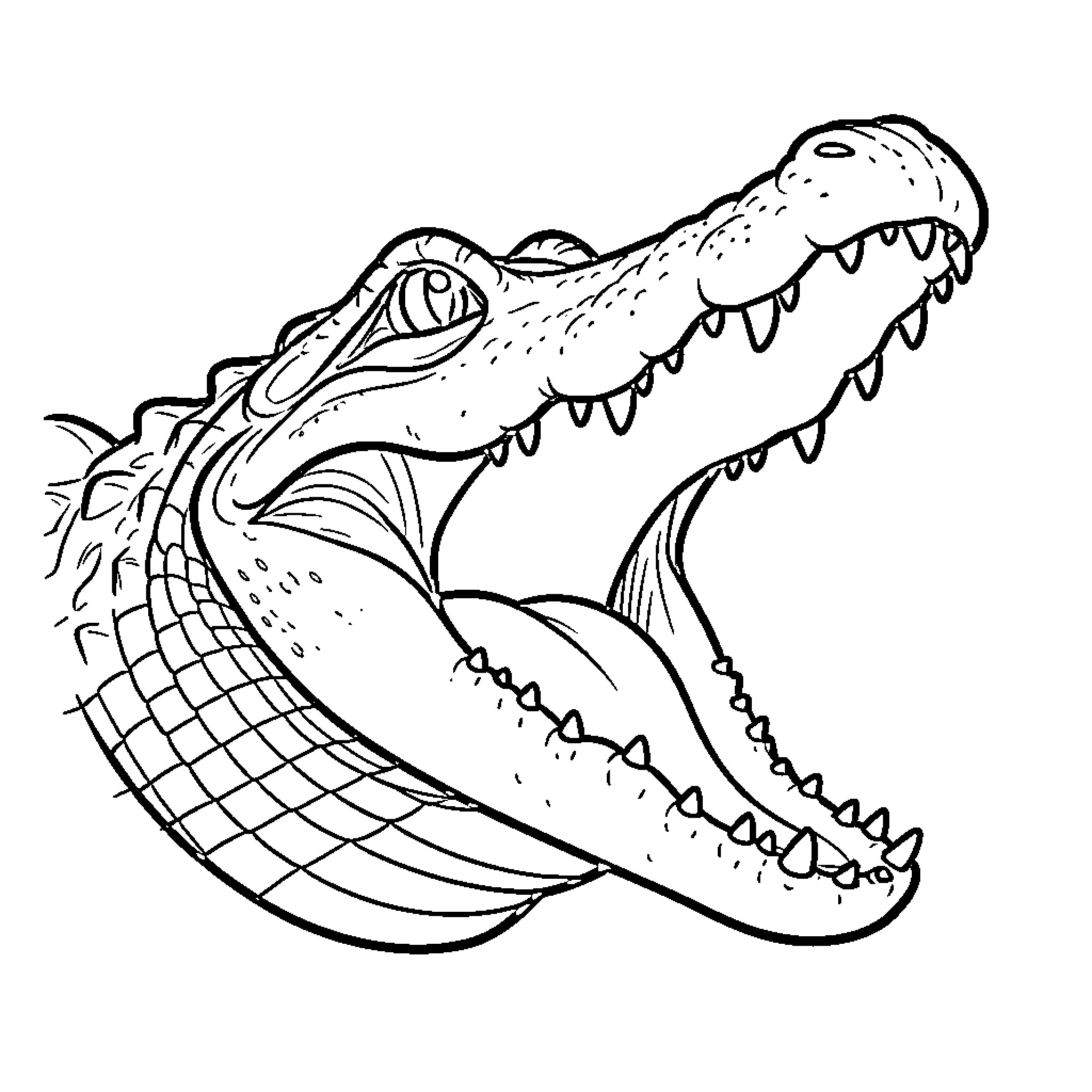 Crocodile opening its mouth wide with sharp teeth Coloring Page (free black-and-white line drawing printable PDF for all, from beginners to advanced learners, including children, teens, adults, and seniors)