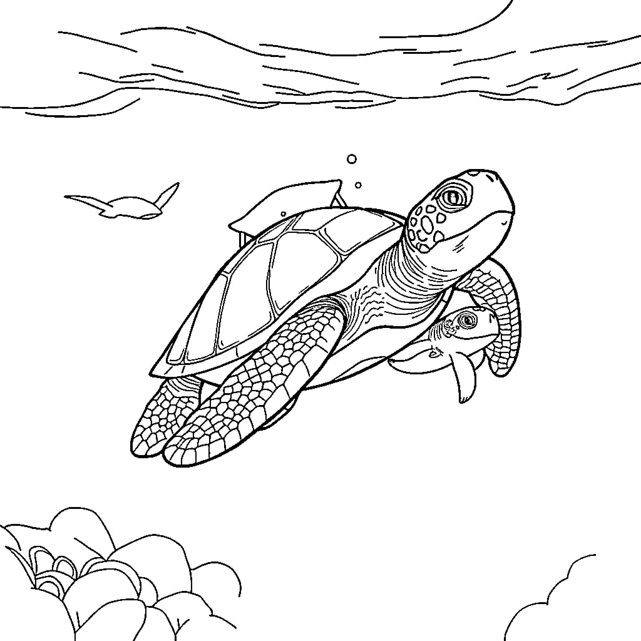 Turtle swimming in the ocean Coloring Page (free black-and-white line drawing printable PDF for all, from beginners to advanced learners, including children, teens, adults, and seniors)