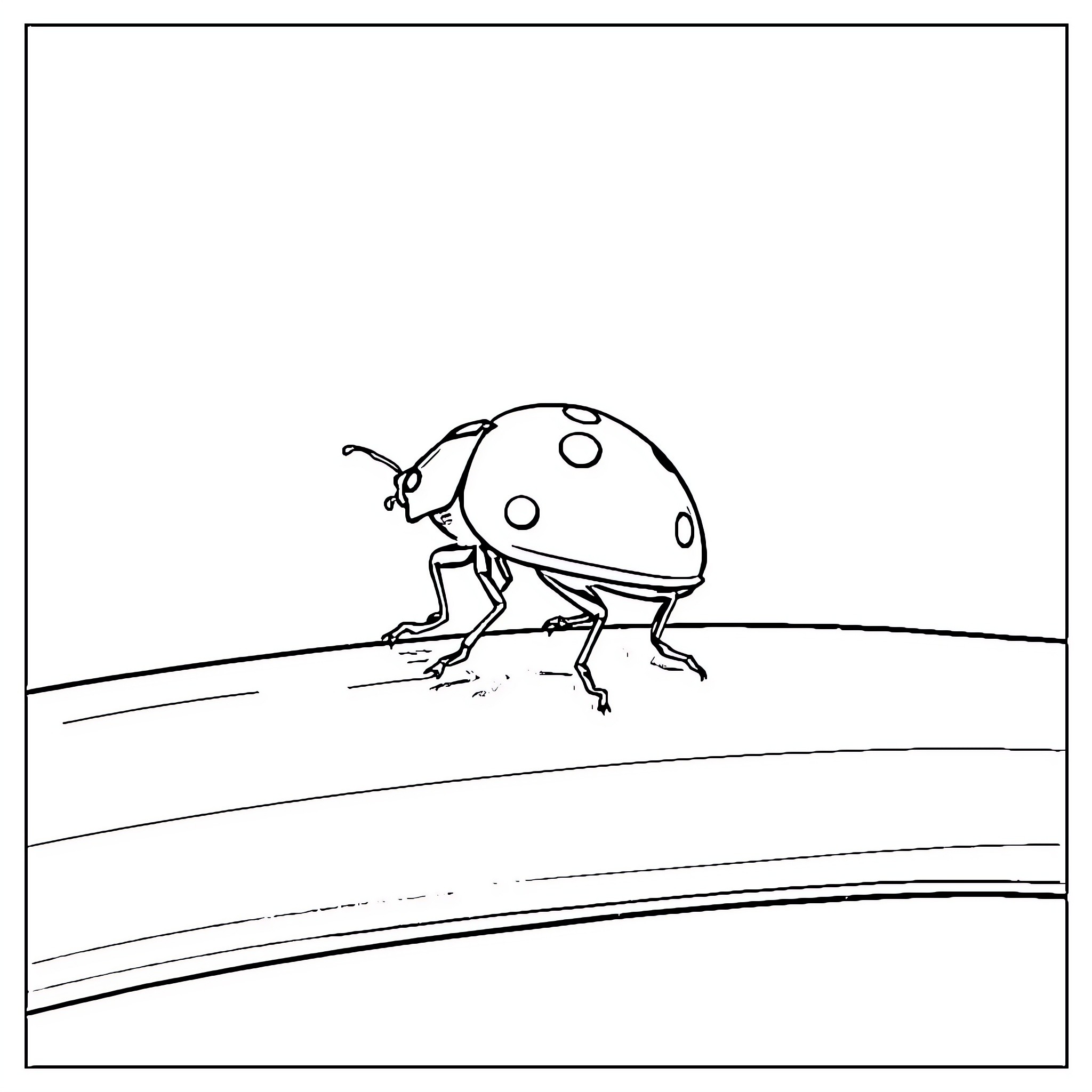 Ladybug scurrying across the floor Coloring Page (free black-and-white line drawing printable PDF for all, from beginners to advanced learners, including children, teens, adults, and seniors)