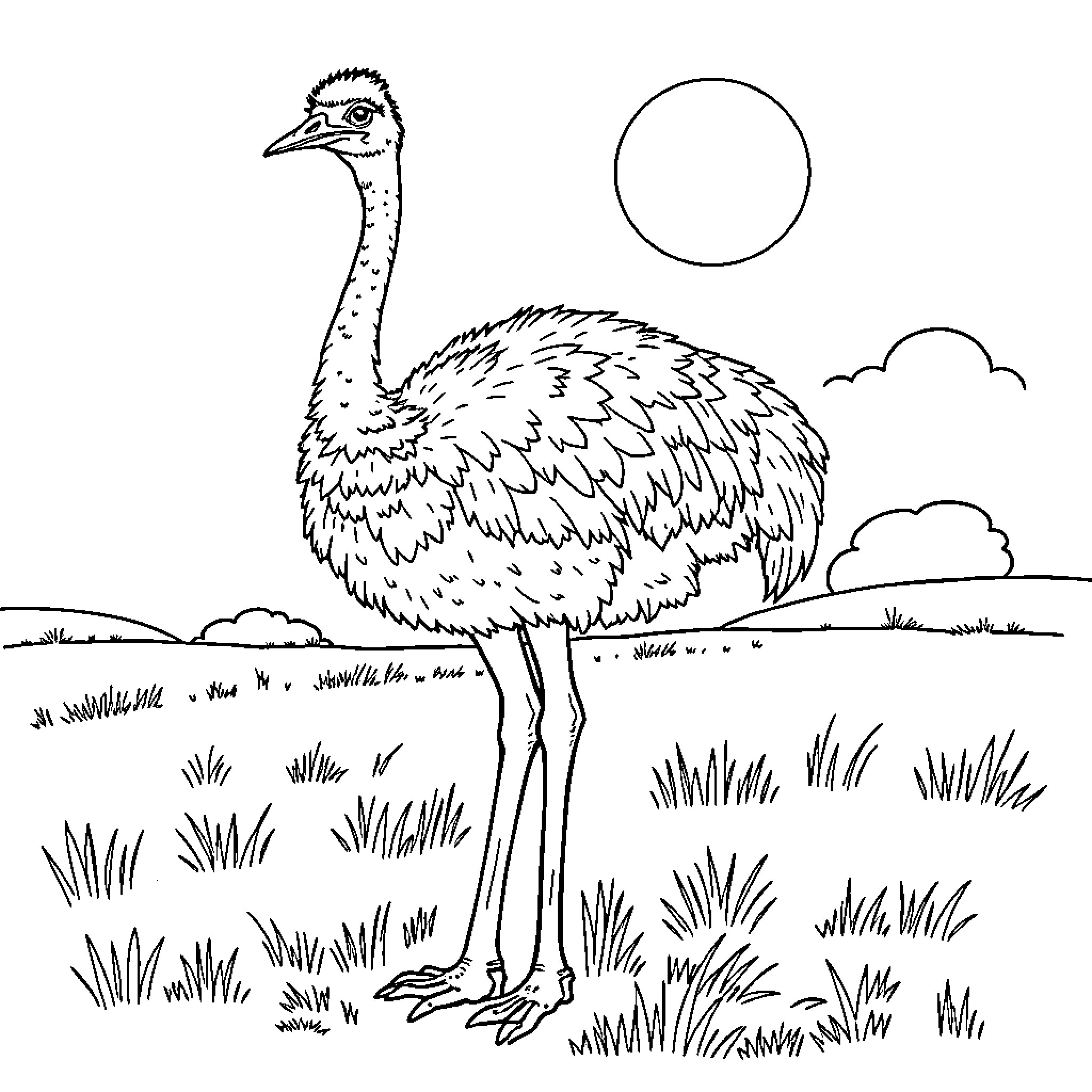 Ostrich standing in a grassy field Coloring Page (free black-and-white line drawing printable PDF for all, from beginners to advanced learners, including children, teens, adults, and seniors)