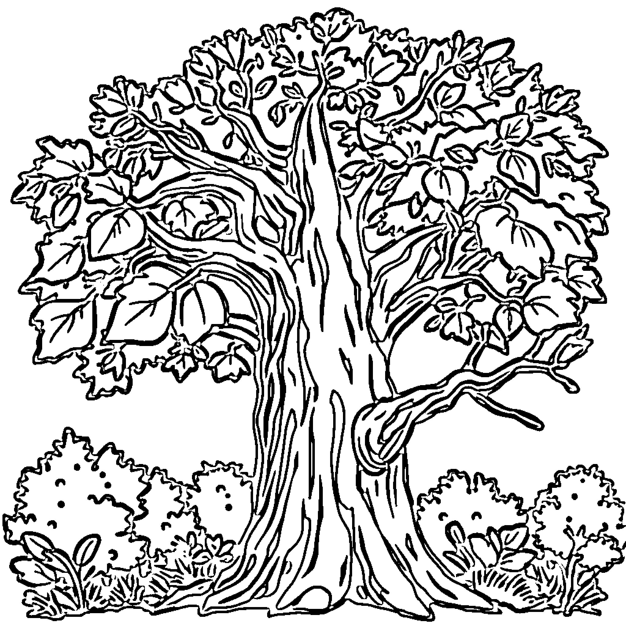 Tree with Intricate Branches and Foliage Coloring Page (free black-and-white line drawing printable PDF for all, from beginners to advanced learners, including children, teens, adults, and seniors)