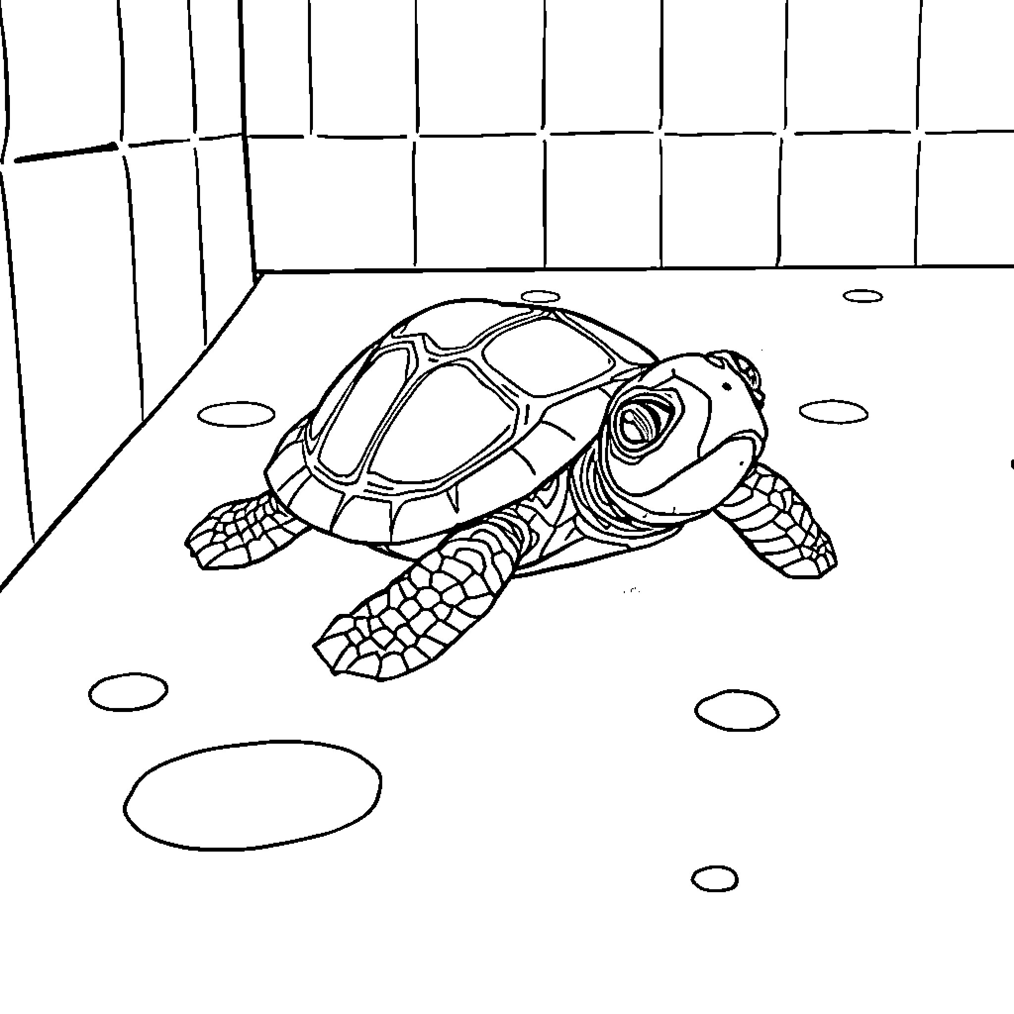 Turtle exploring its enclosure Coloring Page (free black-and-white line drawing printable PDF for all, from beginners to advanced learners, including children, teens, adults, and seniors)