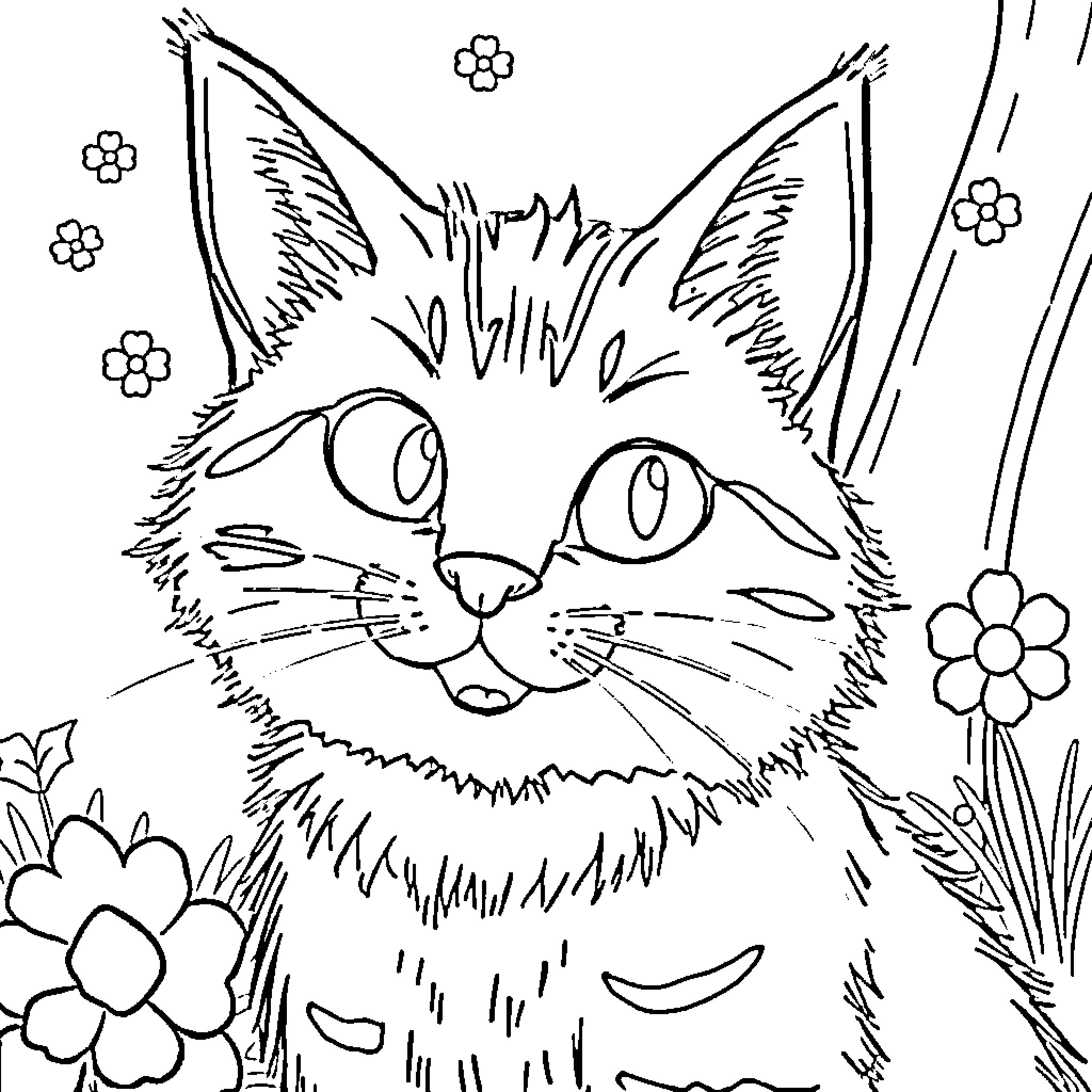 Tabby Mctat exploring a flowery meadow Coloring Page (free black-and-white line drawing printable PDF for all, from beginners to advanced learners, including children, teens, adults, and seniors)