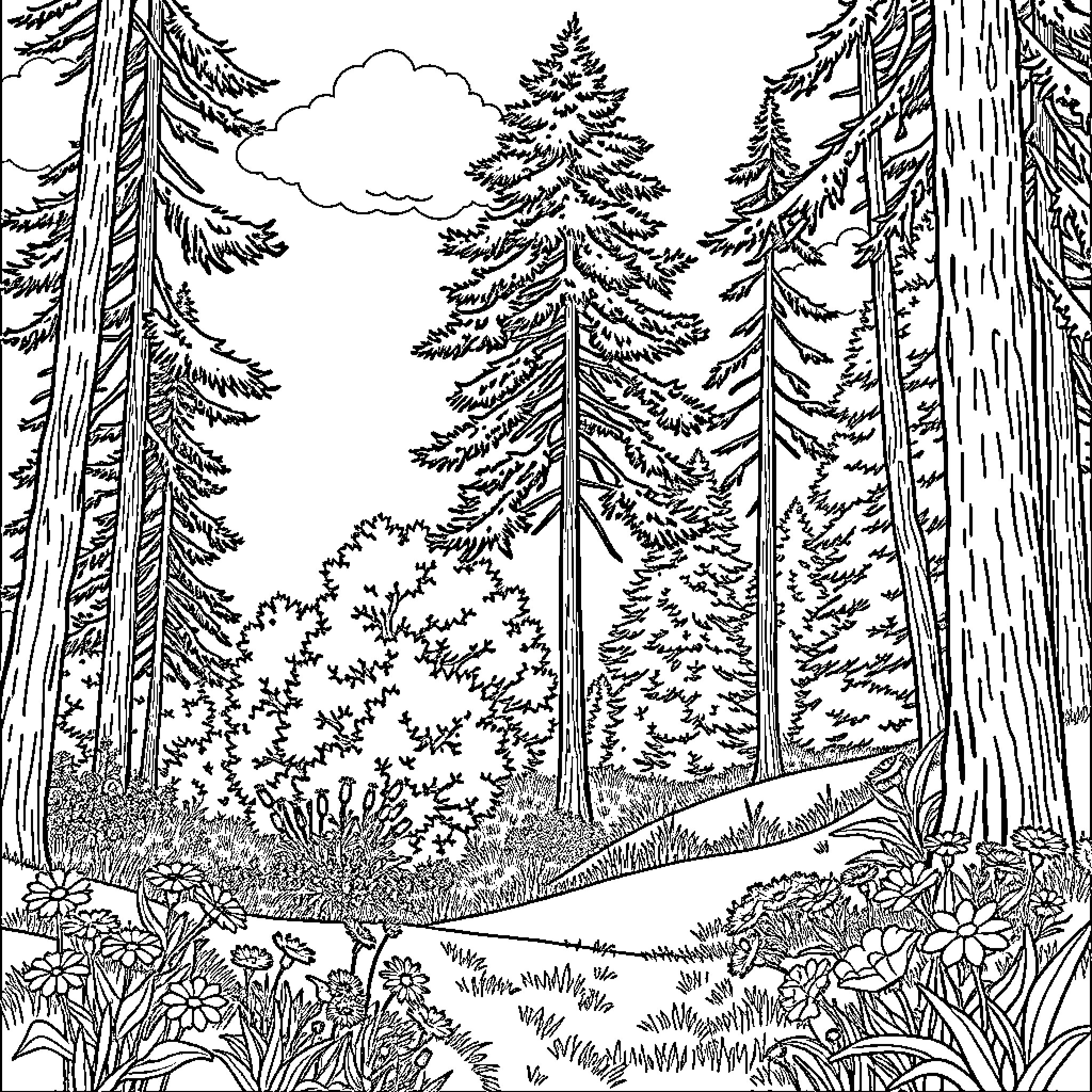 Nature's Serene Woodland Landscape Coloring Page (free black-and-white line drawing printable PDF for all, from beginners to advanced learners, including children, teens, adults, and seniors)