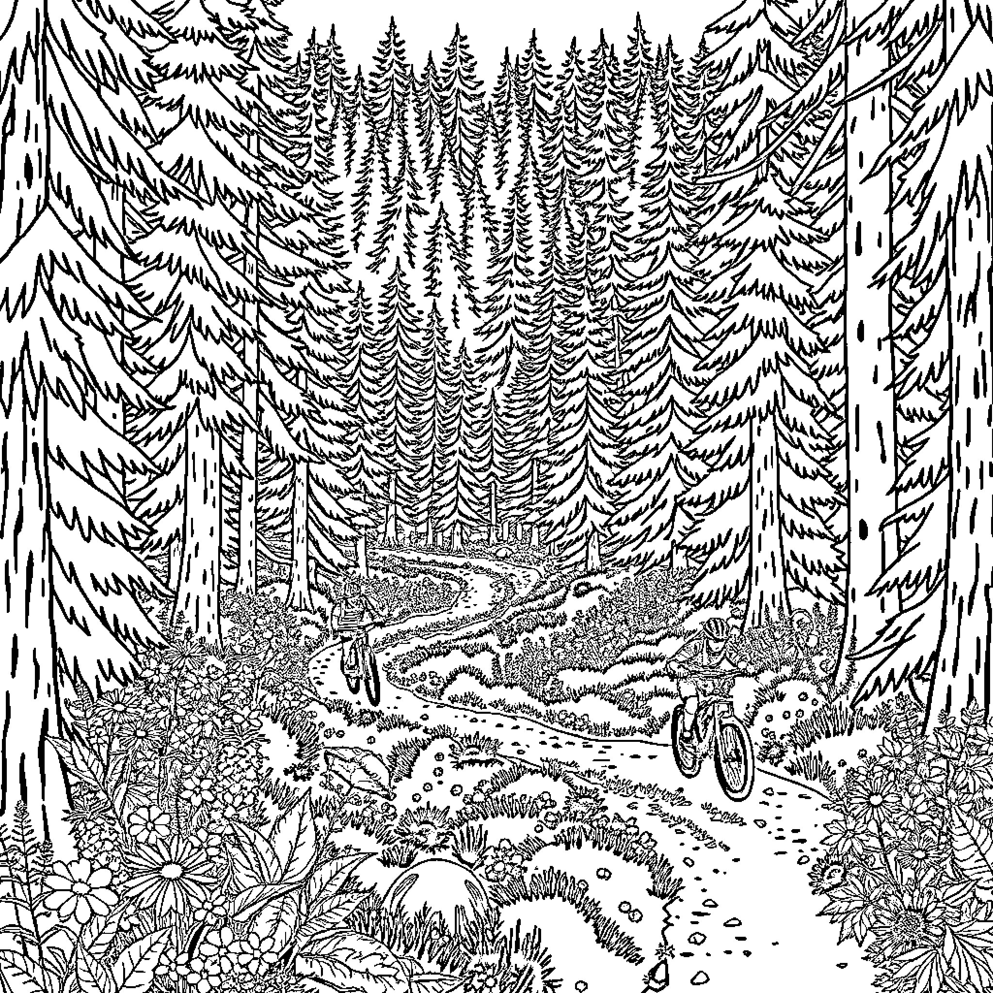 Mountain Biker Exploring Forest Trails Coloring Page (free black-and-white line drawing printable PDF for all, from beginners to advanced learners, including children, teens, adults, and seniors)