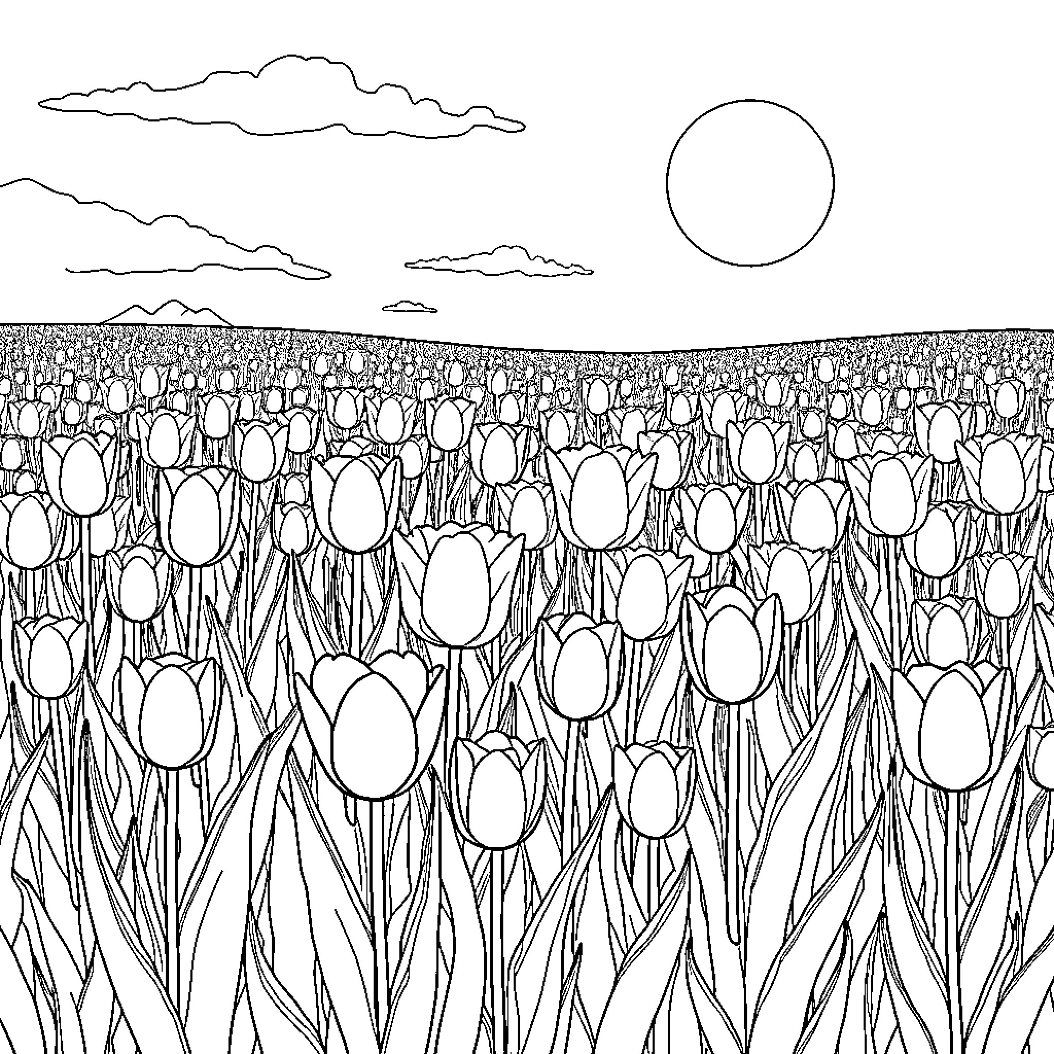 Tulips blooming in a field under the sun Coloring Page (free black-and-white line drawing printable PDF for all, from beginners to advanced learners, including children, teens, adults, and seniors)