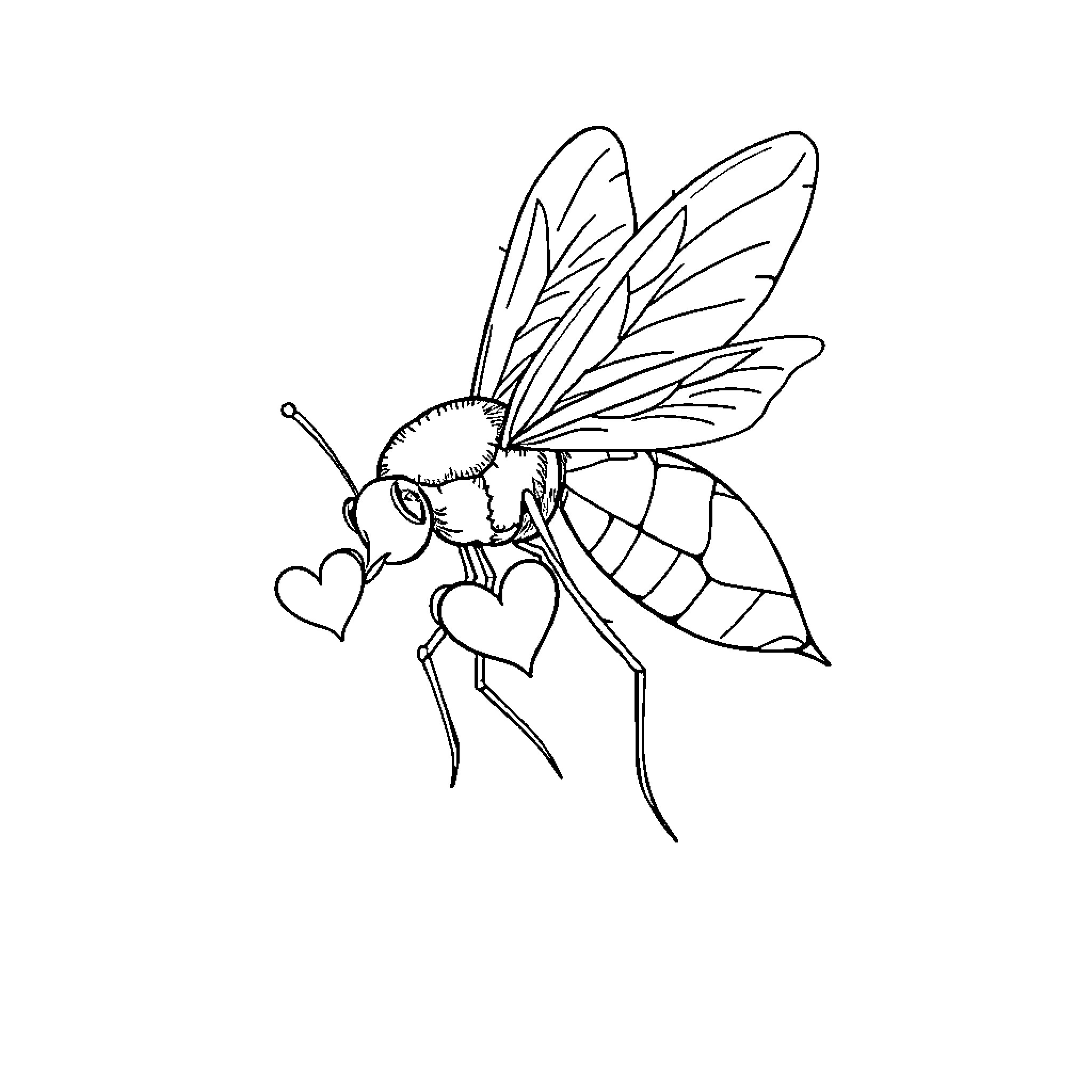 Cupid Bee Spreading Love with Hearts Coloring Page (free black-and-white line drawing printable PDF for all, from beginners to advanced learners, including children, teens, adults, and seniors)