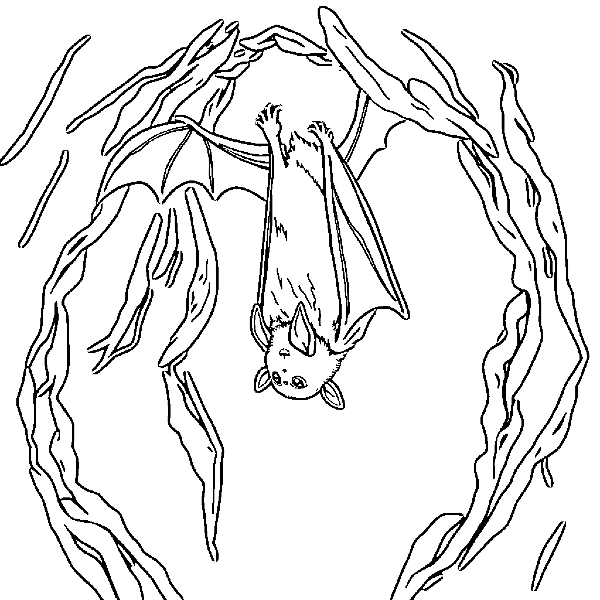 Bat hanging upside down in a spooky cave Coloring Page (free black-and-white line drawing printable PDF for all, from beginners to advanced learners, including children, teens, adults, and seniors)