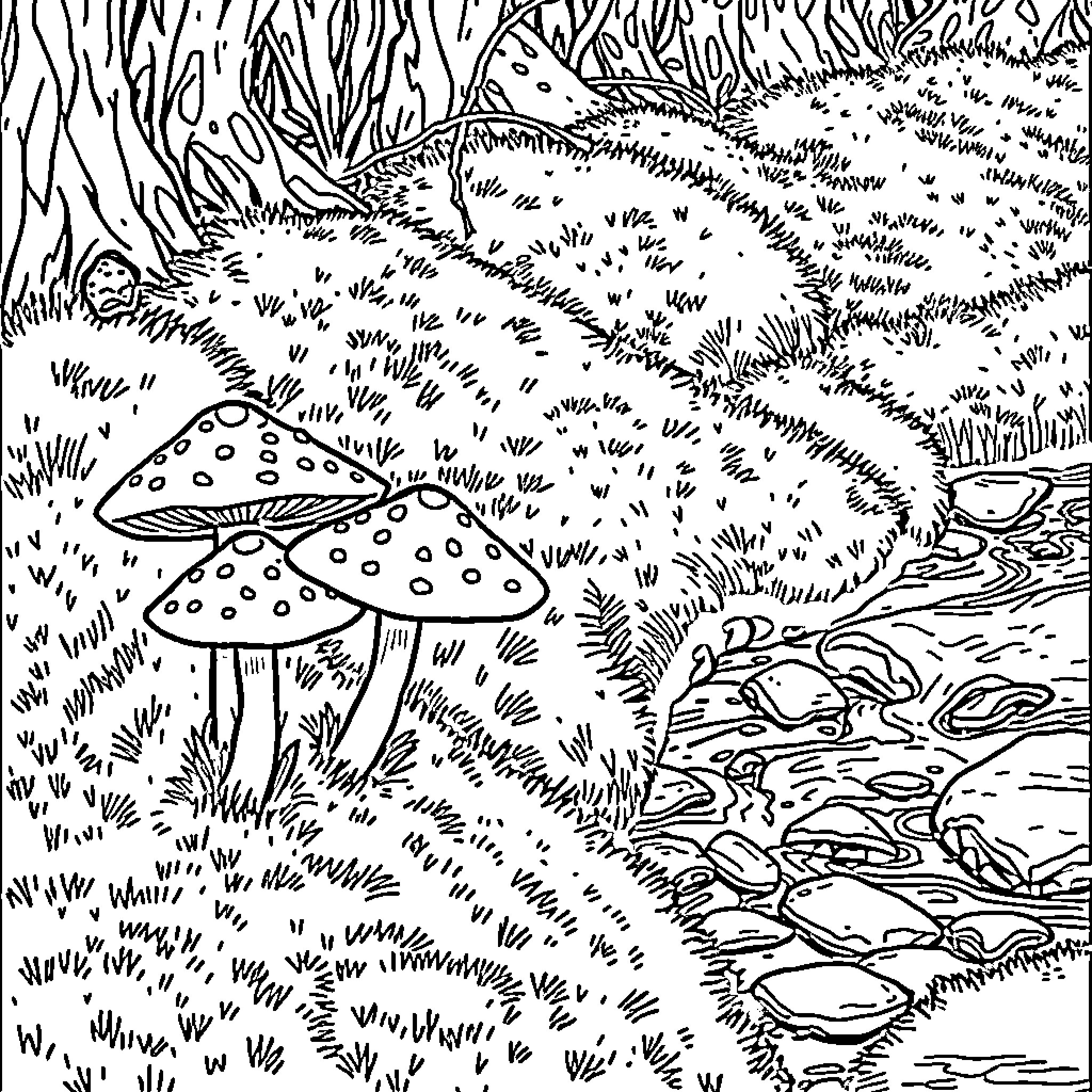 Mushroom scene in the forest Coloring Page (free black-and-white line drawing printable PDF for all, from beginners to advanced learners, including children, teens, adults, and seniors)