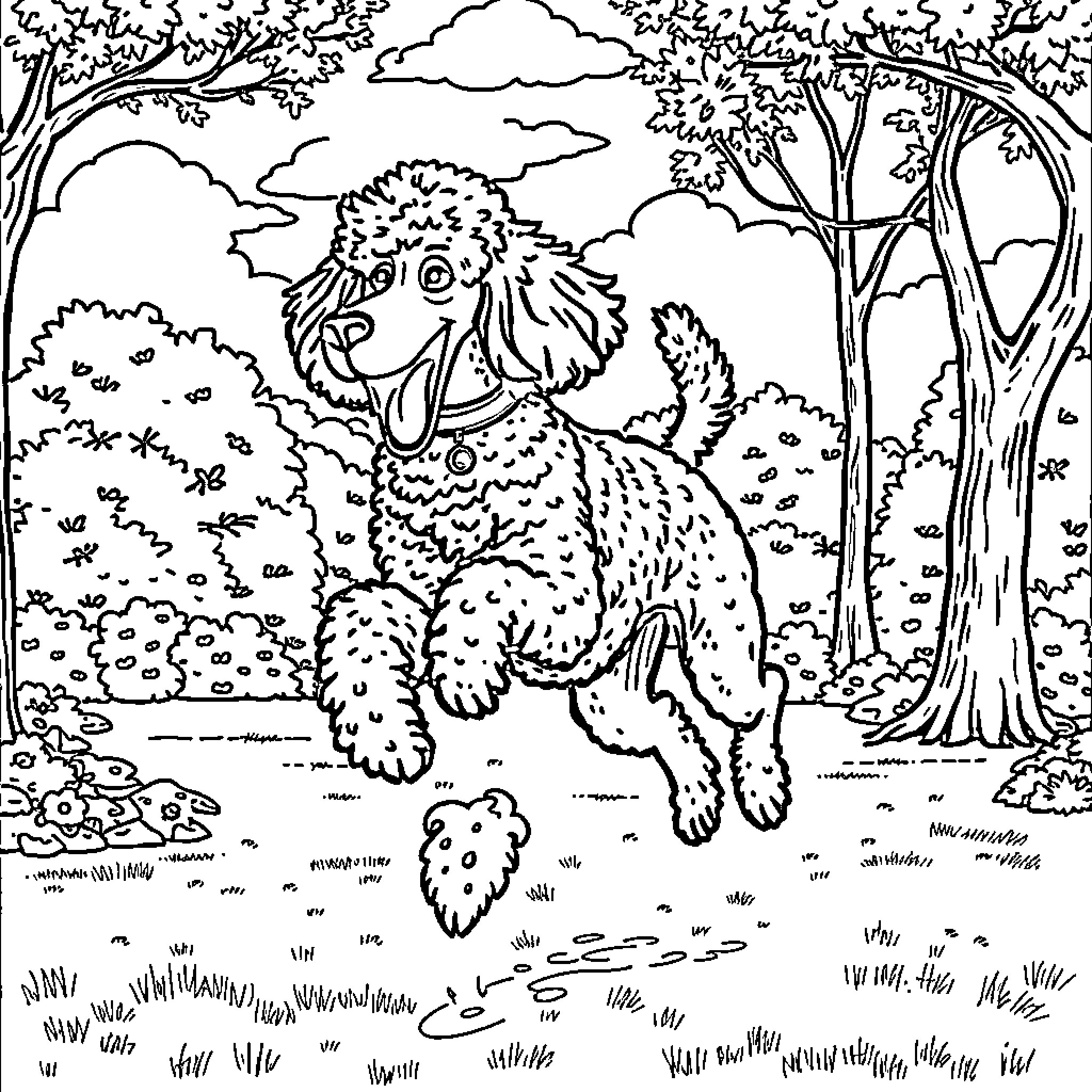 Poodle exploring the enchanting forest Coloring Page (free black-and-white line drawing printable PDF for all, from beginners to advanced learners, including children, teens, adults, and seniors)