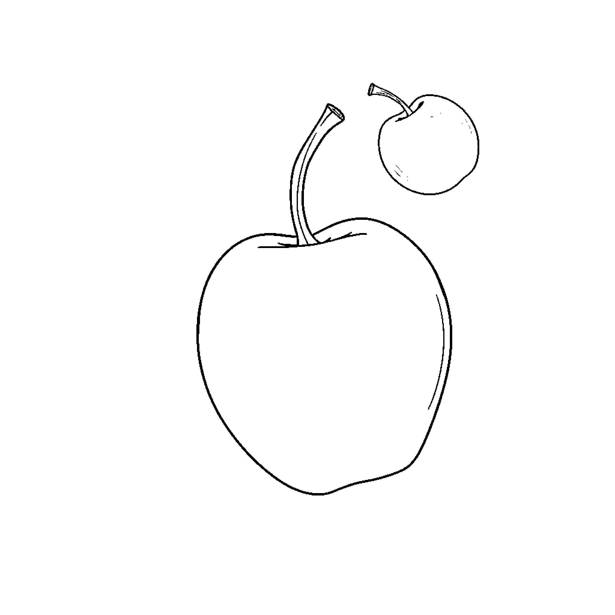 Fruit in Simple Outline Drawing Coloring Page (free black-and-white line drawing printable PDF for all, from beginners to advanced learners, including children, teens, adults, and seniors)