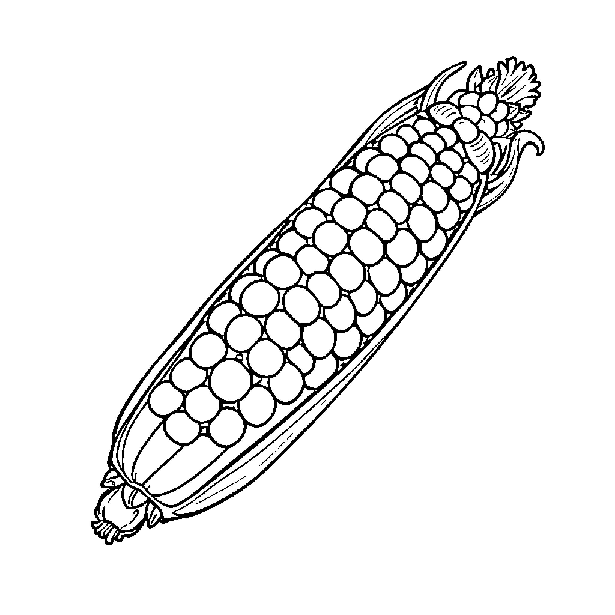 Corn with detailed decorative pattern Coloring Page (free black-and-white line drawing printable PDF for all, from beginners to advanced learners, including children, teens, adults, and seniors)