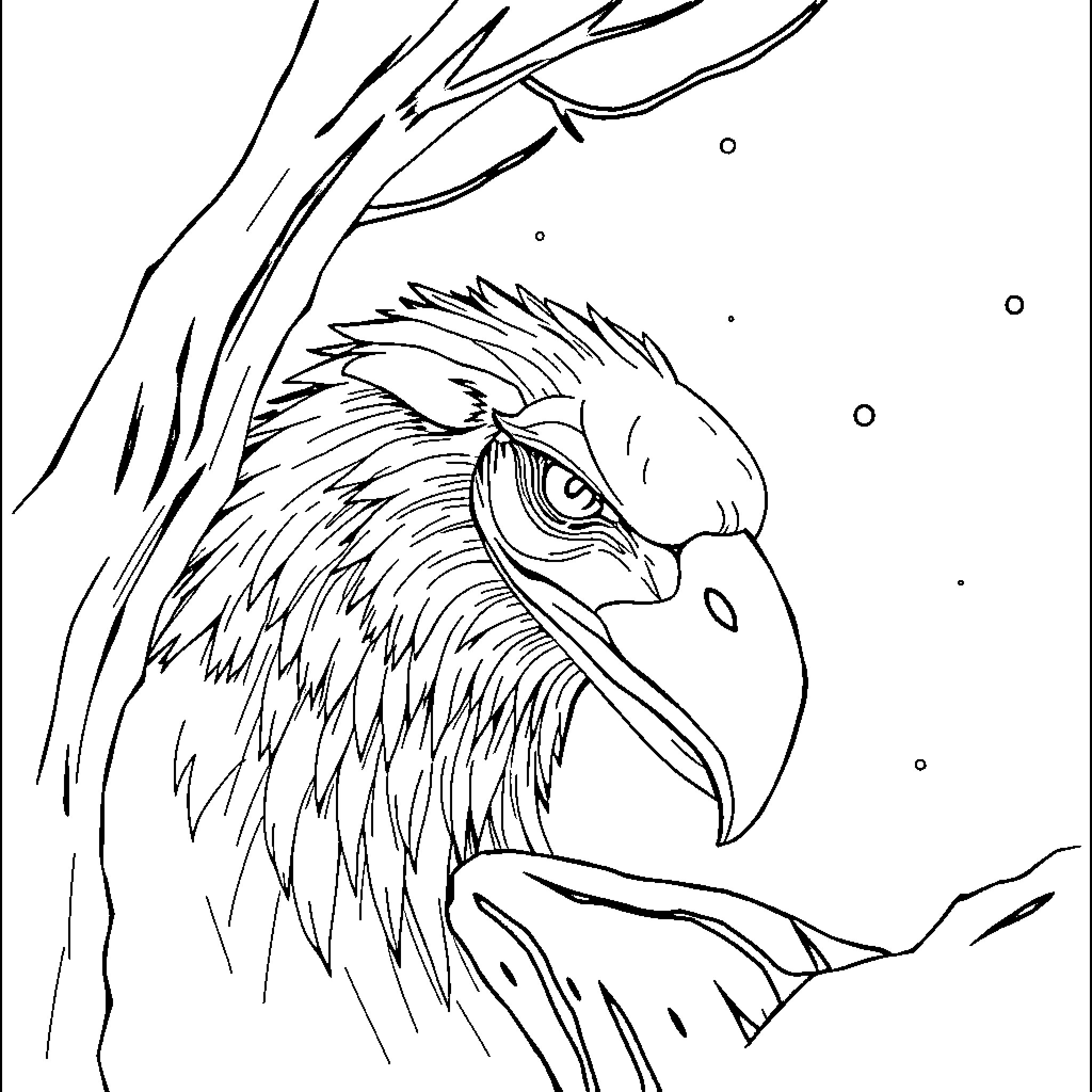 Frozen Majestic Eagle in Flight Coloring Page (free black-and-white line drawing printable PDF for all, from beginners to advanced learners, including children, teens, adults, and seniors)