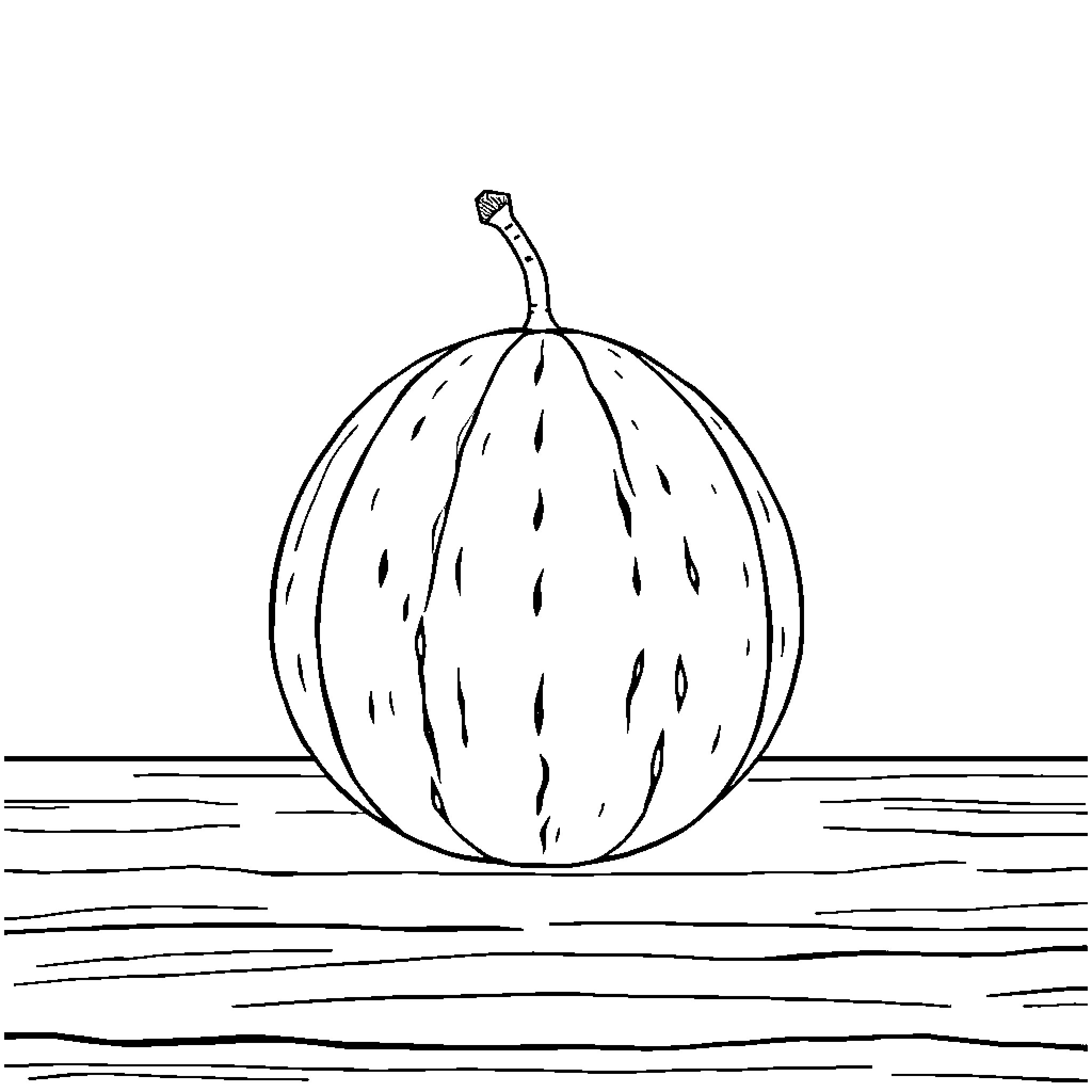 Melon floating on water surface Coloring Page (free black-and-white line drawing printable PDF for all, from beginners to advanced learners, including children, teens, adults, and seniors)