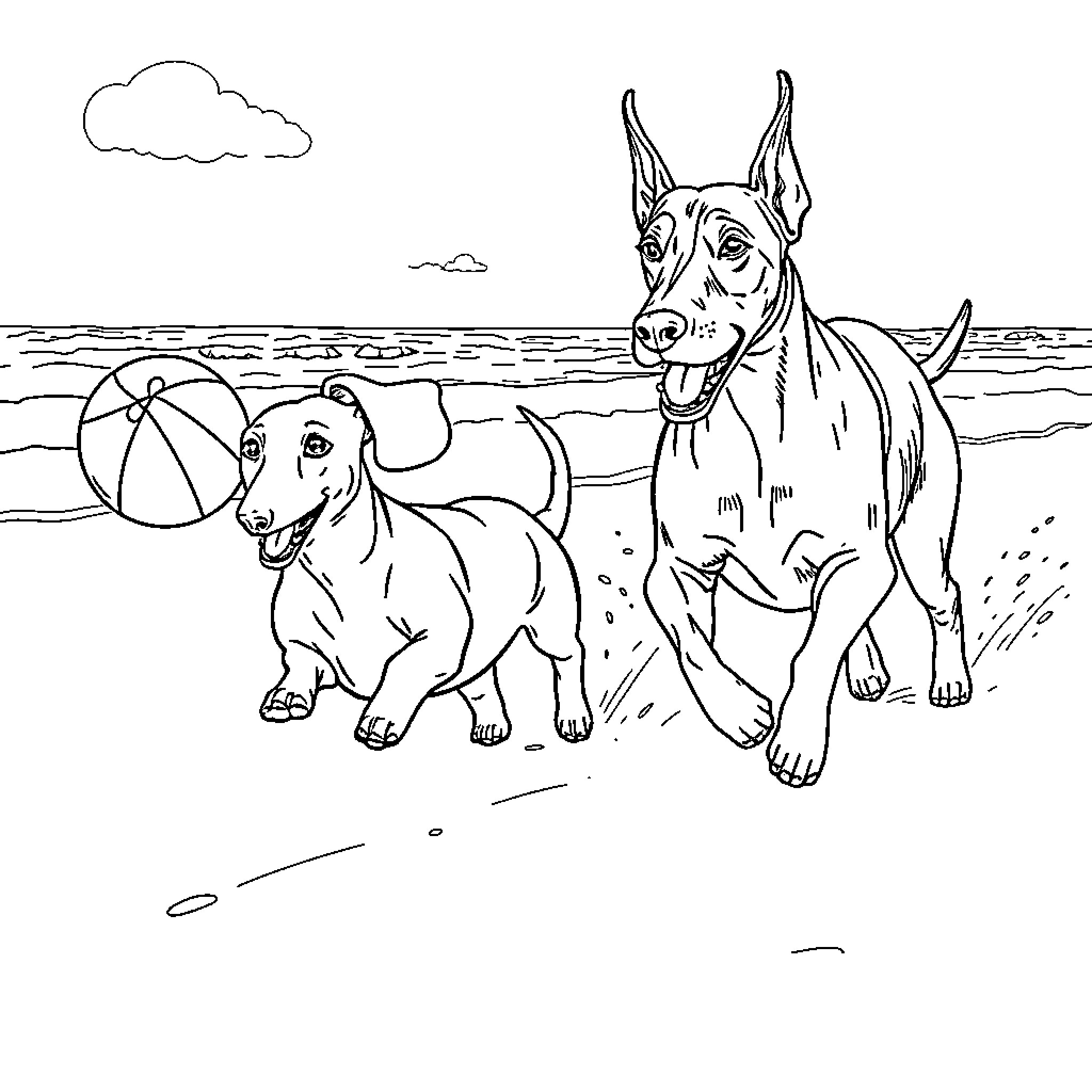 Dachshunds playing joyfully on the beach Coloring Page (free black-and-white line drawing printable PDF for all, from beginners to advanced learners, including children, teens, adults, and seniors)