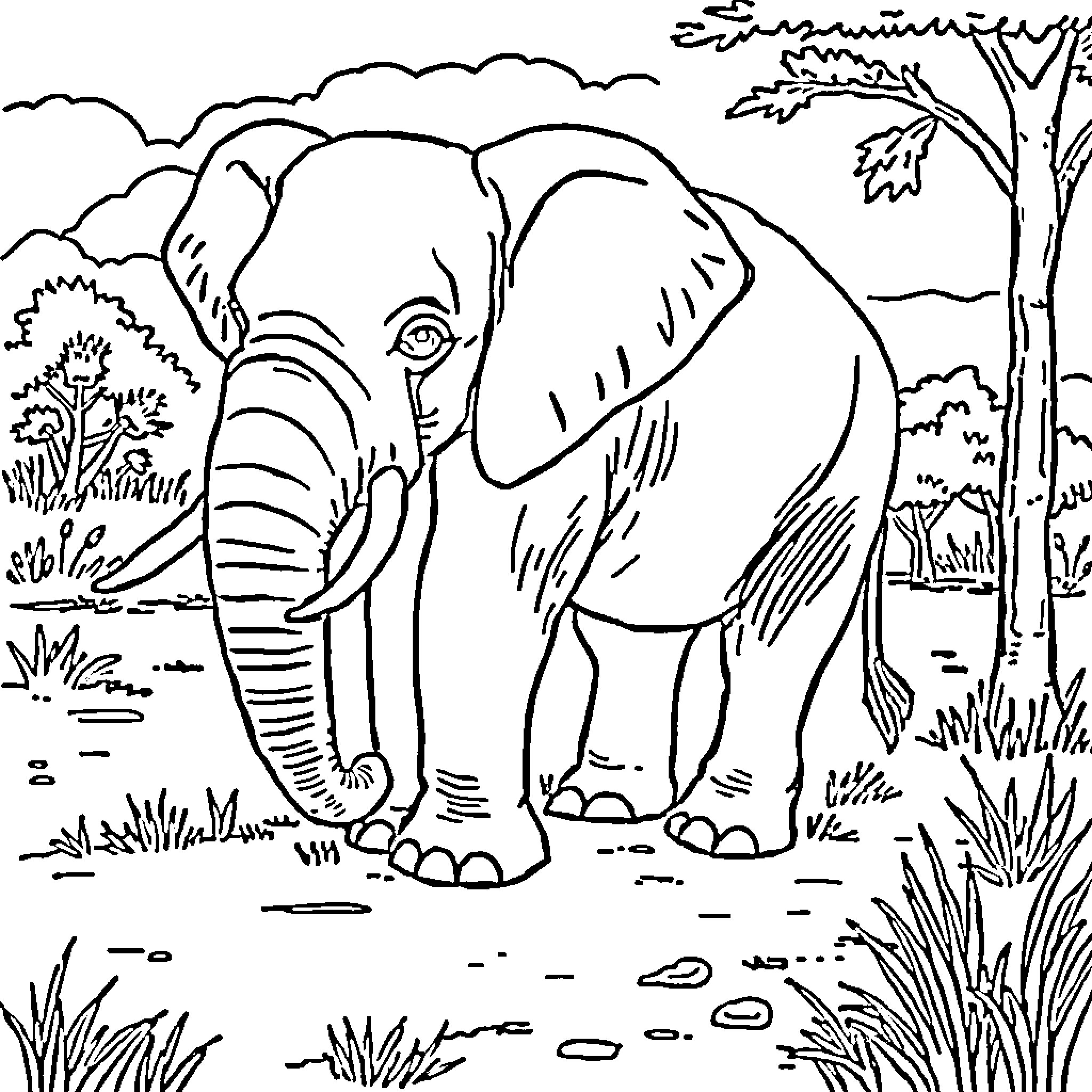 Elephant exploring the wilderness Coloring Page (free black-and-white line drawing printable PDF for all, from beginners to advanced learners, including children, teens, adults, and seniors)