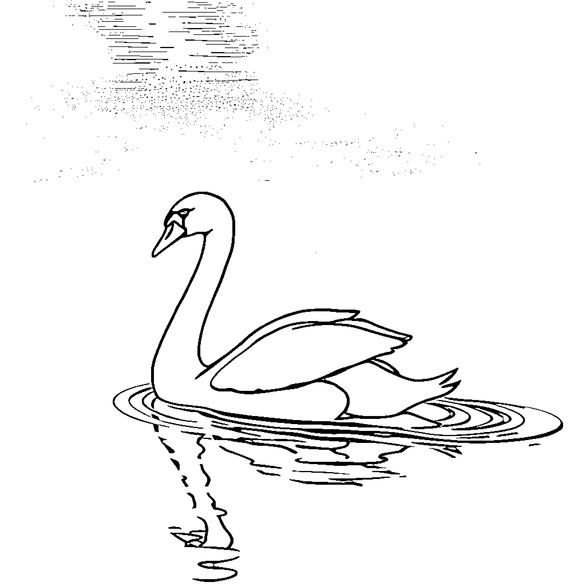 Swan swimming gracefully on the water Coloring Page (free black-and-white line drawing printable PDF for all, from beginners to advanced learners, including children, teens, adults, and seniors)