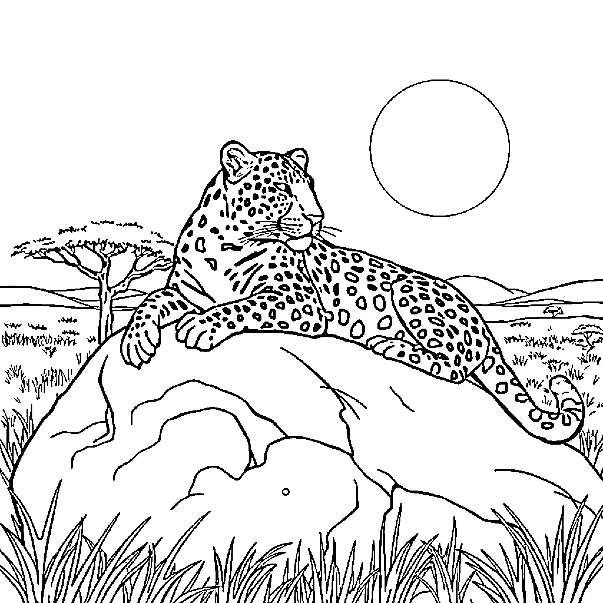 Leopard resting on rocky outcrop in savanna landscape Coloring Page (free black-and-white line drawing printable PDF for all, from beginners to advanced learners, including children, teens, adults, and seniors)