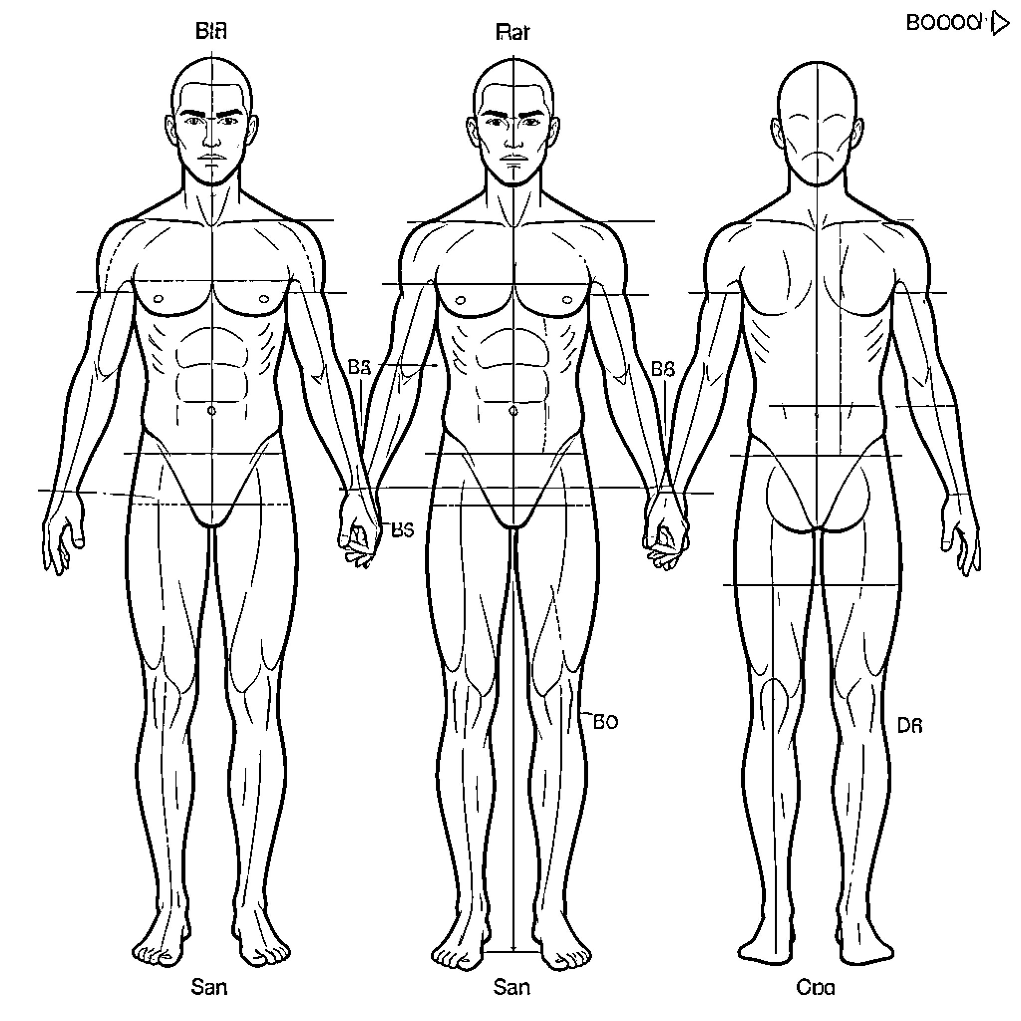 Human Body Anatomy Diagrams Coloring Page (free black-and-white line drawing printable PDF for all, from beginners to advanced learners, including children, teens, adults, and seniors)