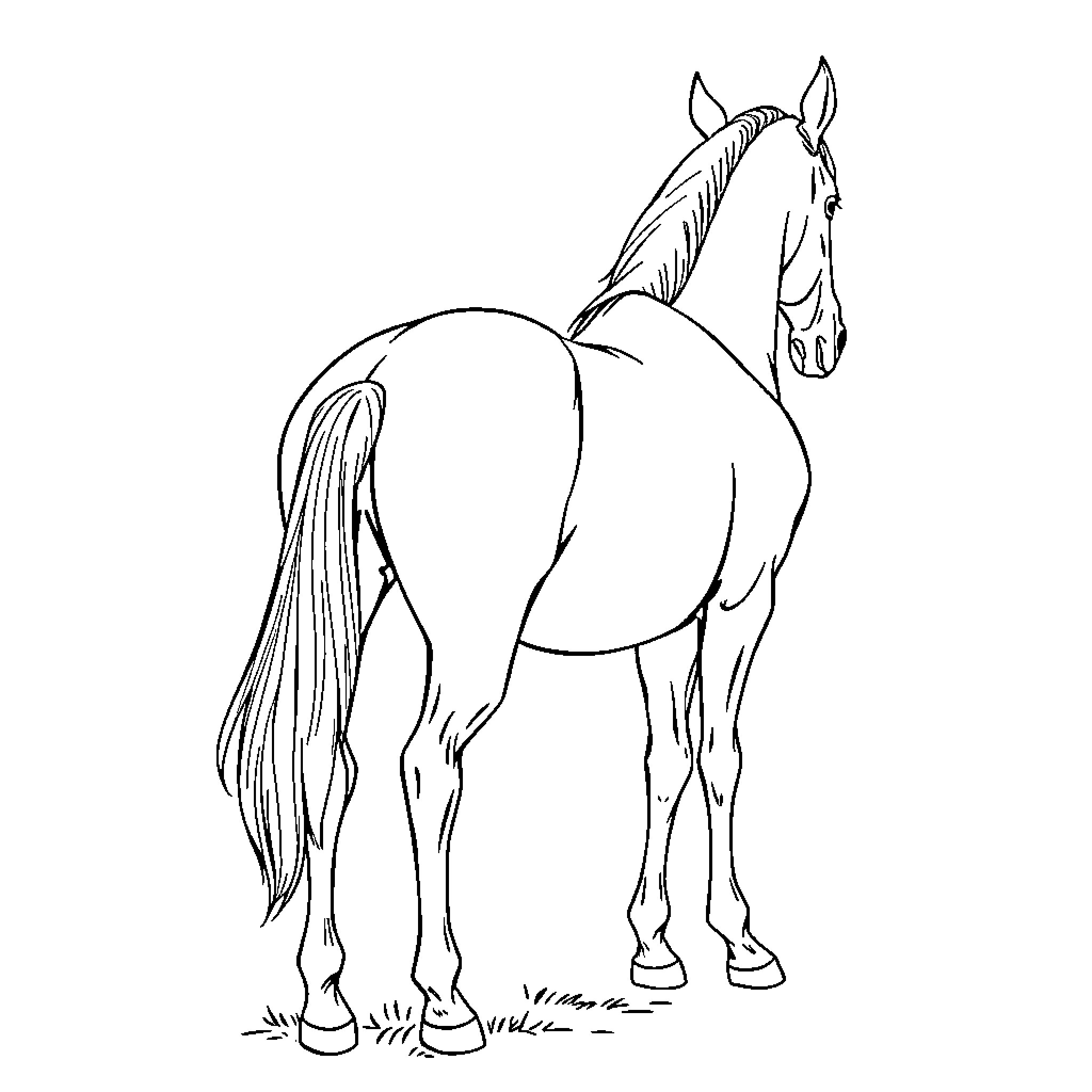 Horse standing gracefully on a simple background Coloring Page (free black-and-white line drawing printable PDF for all, from beginners to advanced learners, including children, teens, adults, and seniors)