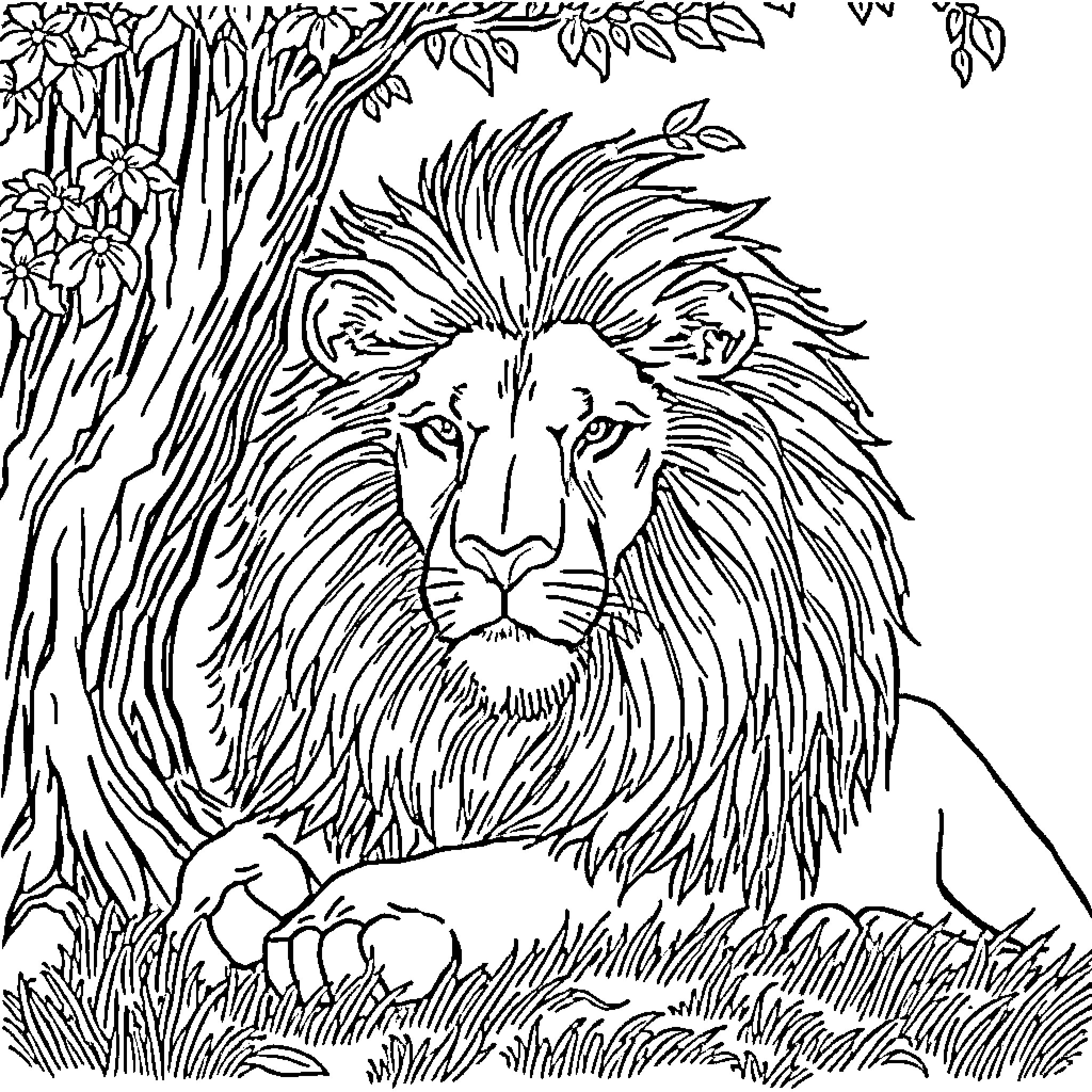 Lion among the foliage Coloring Page (free black-and-white line drawing printable PDF for all, from beginners to advanced learners, including children, teens, adults, and seniors)
