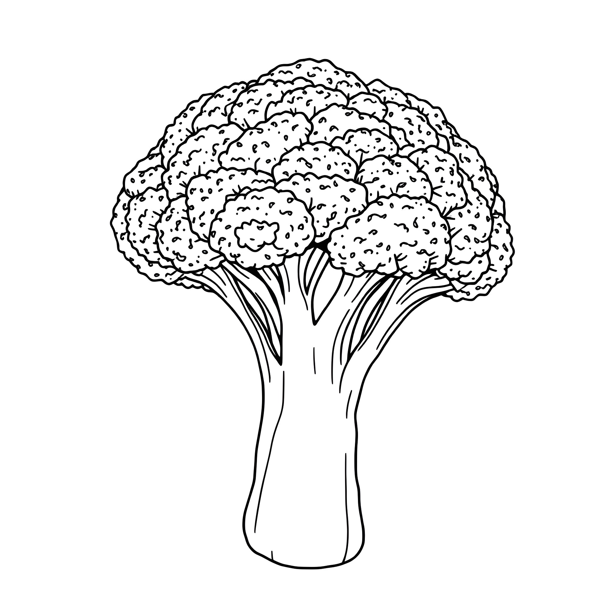 Broccoli vegetable bunch illustration Coloring Page (free black-and-white line drawing printable PDF for all, from beginners to advanced learners, including children, teens, adults, and seniors)