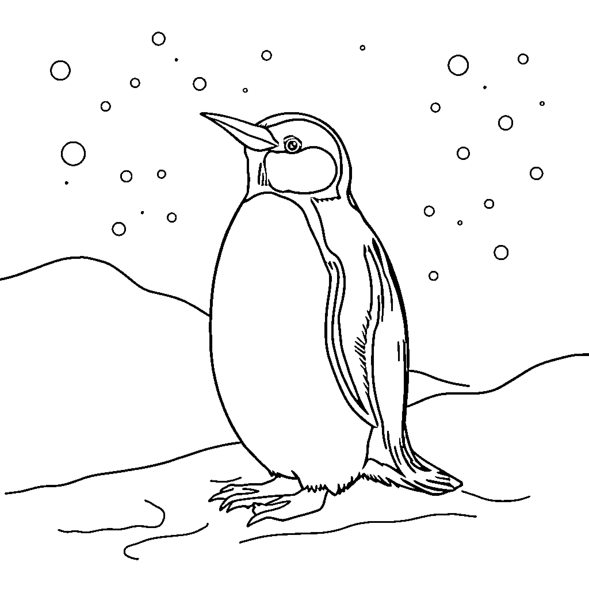 Penguin standing in the snow Coloring Page (free black-and-white line drawing printable PDF for all, from beginners to advanced learners, including children, teens, adults, and seniors)