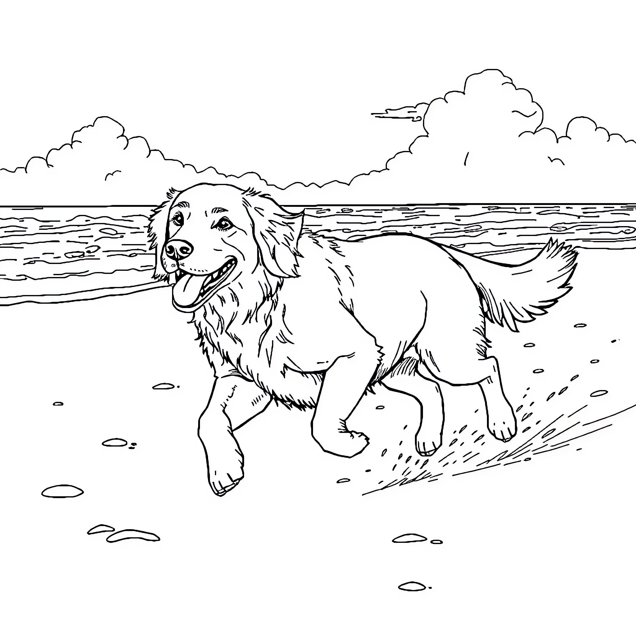 Golden Retriever playing happily on the beach Coloring Page (free black-and-white line drawing printable PDF for all, from beginners to advanced learners, including children, teens, adults, and seniors)