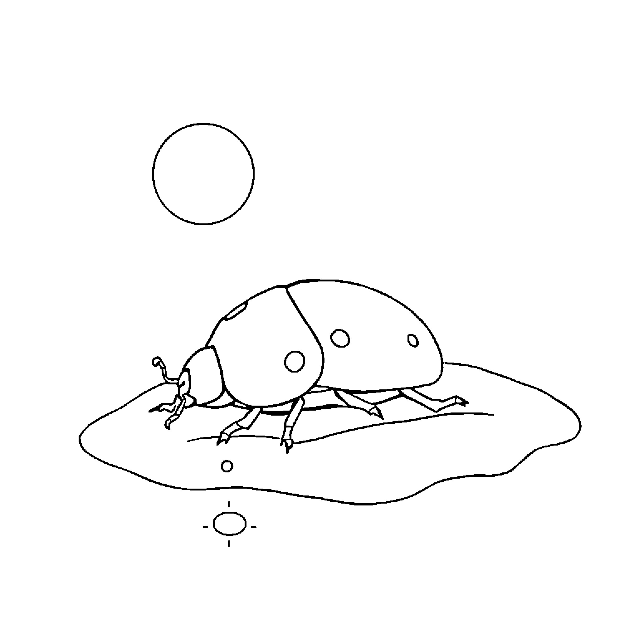 Ladybug exploring its natural habitat Coloring Page (free black-and-white line drawing printable PDF for all, from beginners to advanced learners, including children, teens, adults, and seniors)