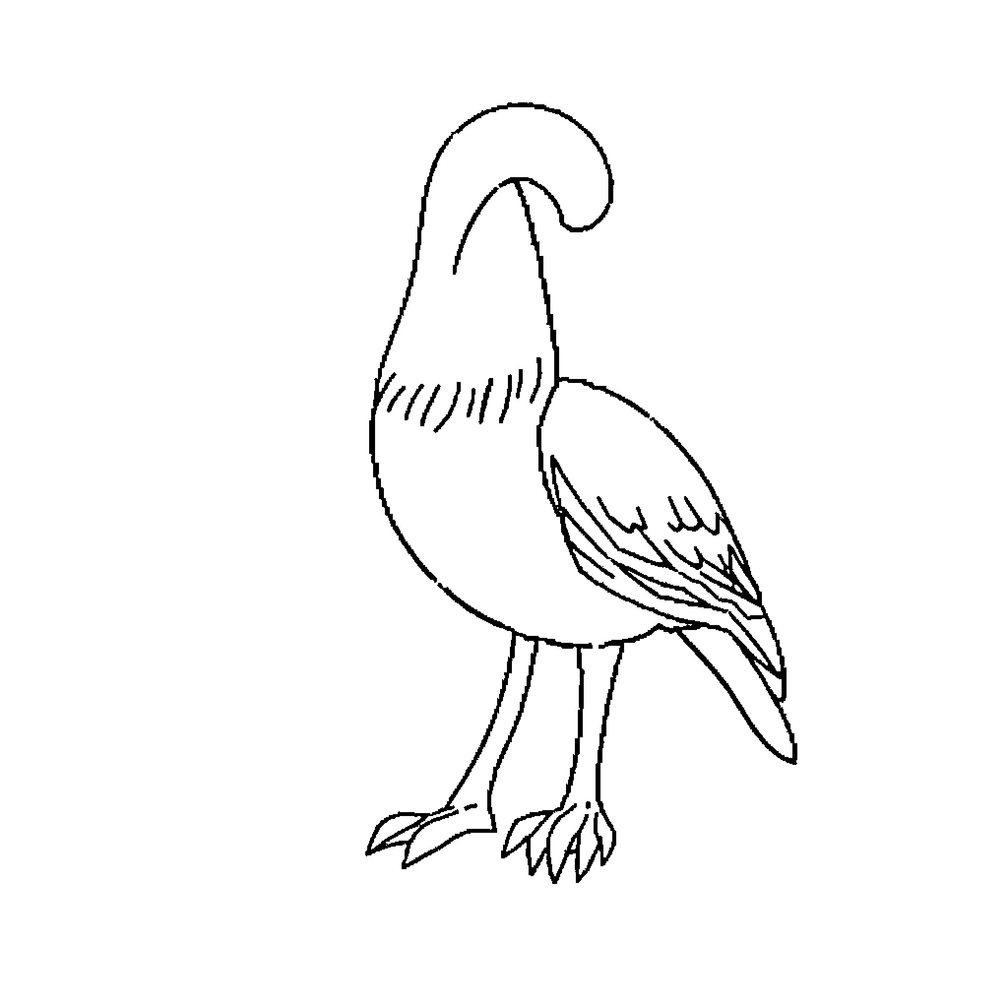 Desenho de pássaro com expressão curiosa Coloring Page (free black-and-white line drawing printable PDF for all, from beginners to advanced learners, including children, teens, adults, and seniors)