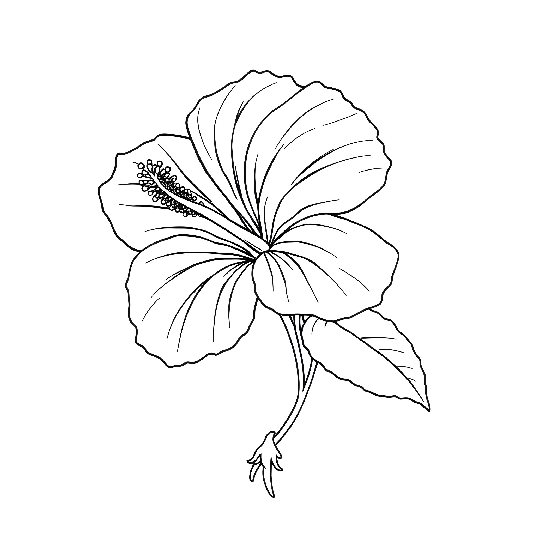 Hibiscus flower with intricate petals Coloring Page (free black-and-white line drawing printable PDF for all, from beginners to advanced learners, including children, teens, adults, and seniors)
