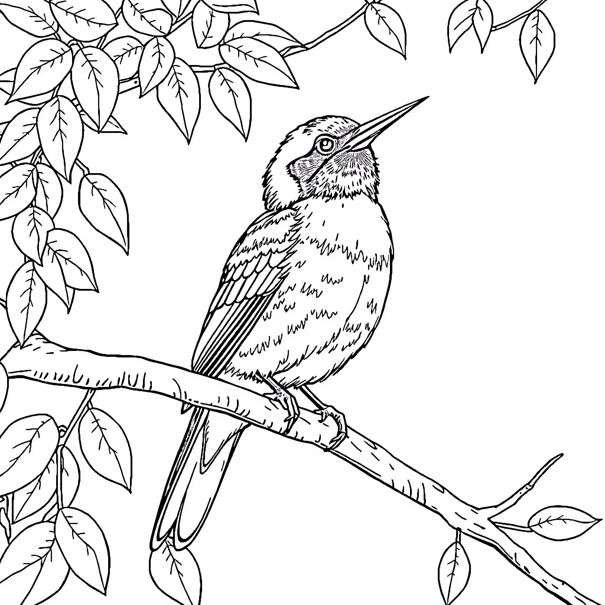 Bird perched on a branch among leaves Coloring Page (free black-and-white line drawing printable PDF for all, from beginners to advanced learners, including children, teens, adults, and seniors)