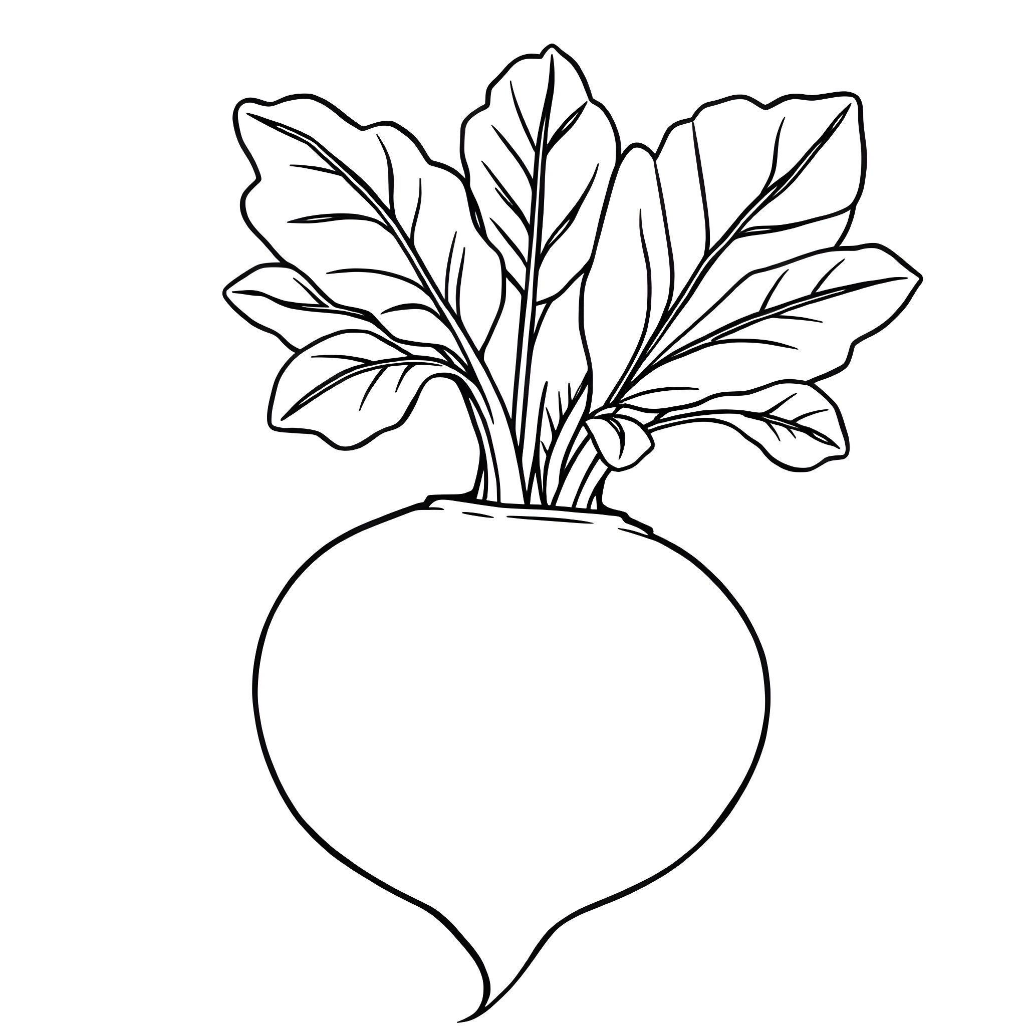 Beetroot with lush leafy greens Coloring Page (free black-and-white line drawing printable PDF for all, from beginners to advanced learners, including children, teens, adults, and seniors)