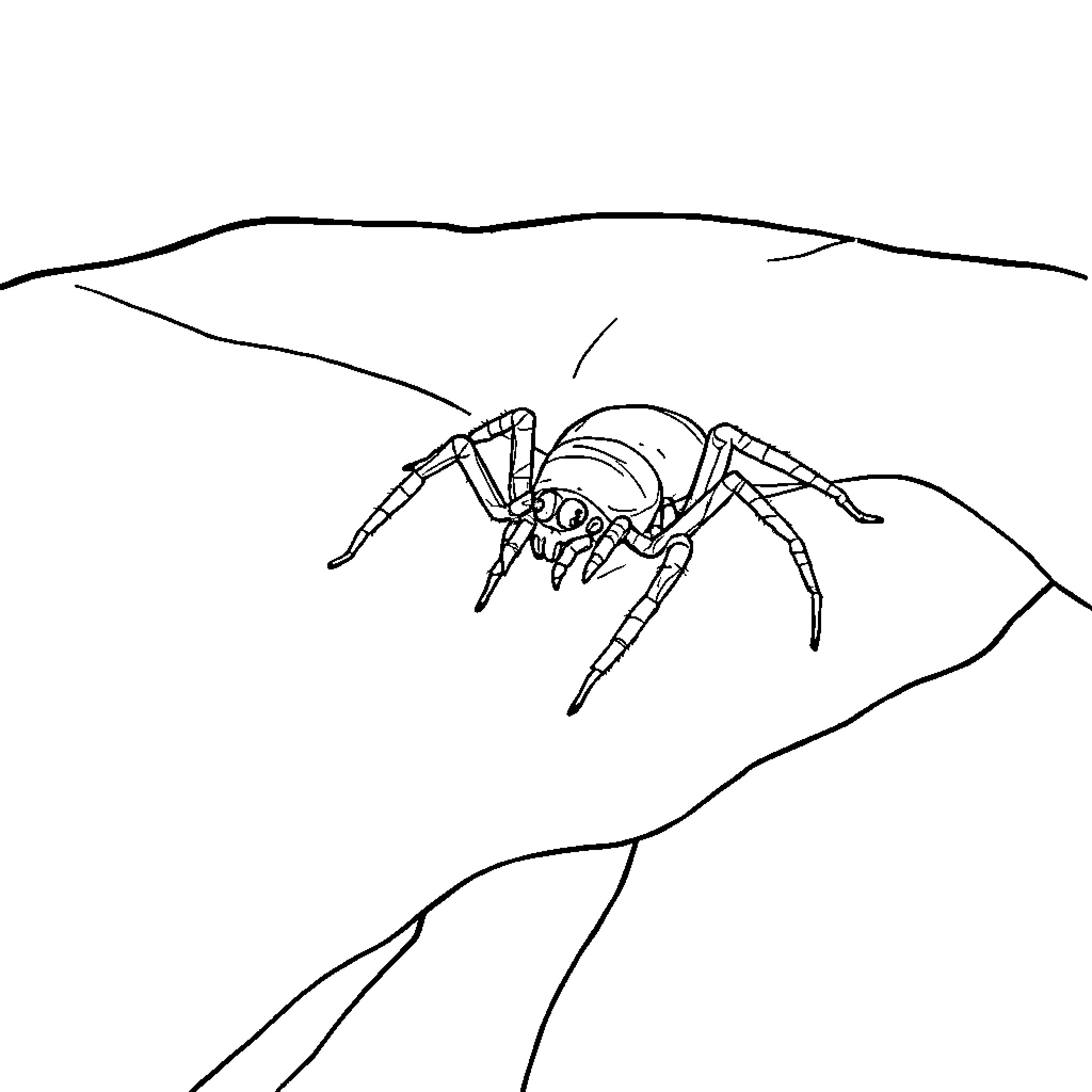 Spider scurrying across rocky terrain Coloring Page (free black-and-white line drawing printable PDF for all, from beginners to advanced learners, including children, teens, adults, and seniors)