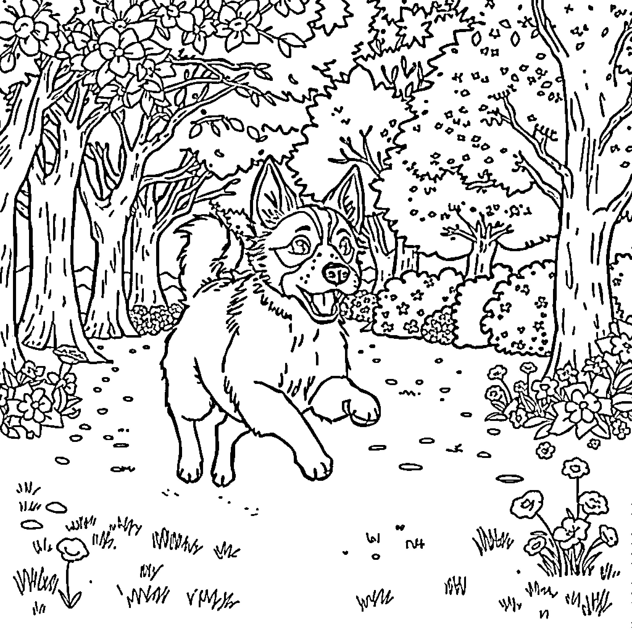 Dog barking playfully in the forest Coloring Page (free black-and-white line drawing printable PDF for all, from beginners to advanced learners, including children, teens, adults, and seniors)