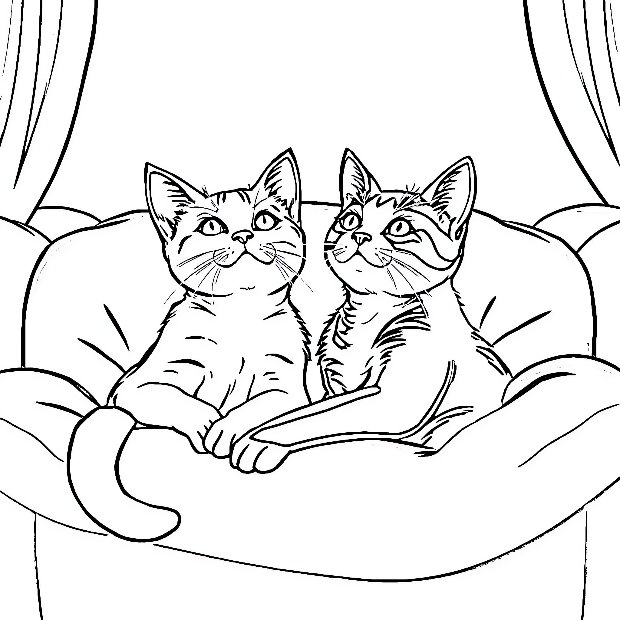 Cat Companions Relaxing on Couch Coloring Page (free black-and-white line drawing printable PDF for all, from beginners to advanced learners, including children, teens, adults, and seniors)