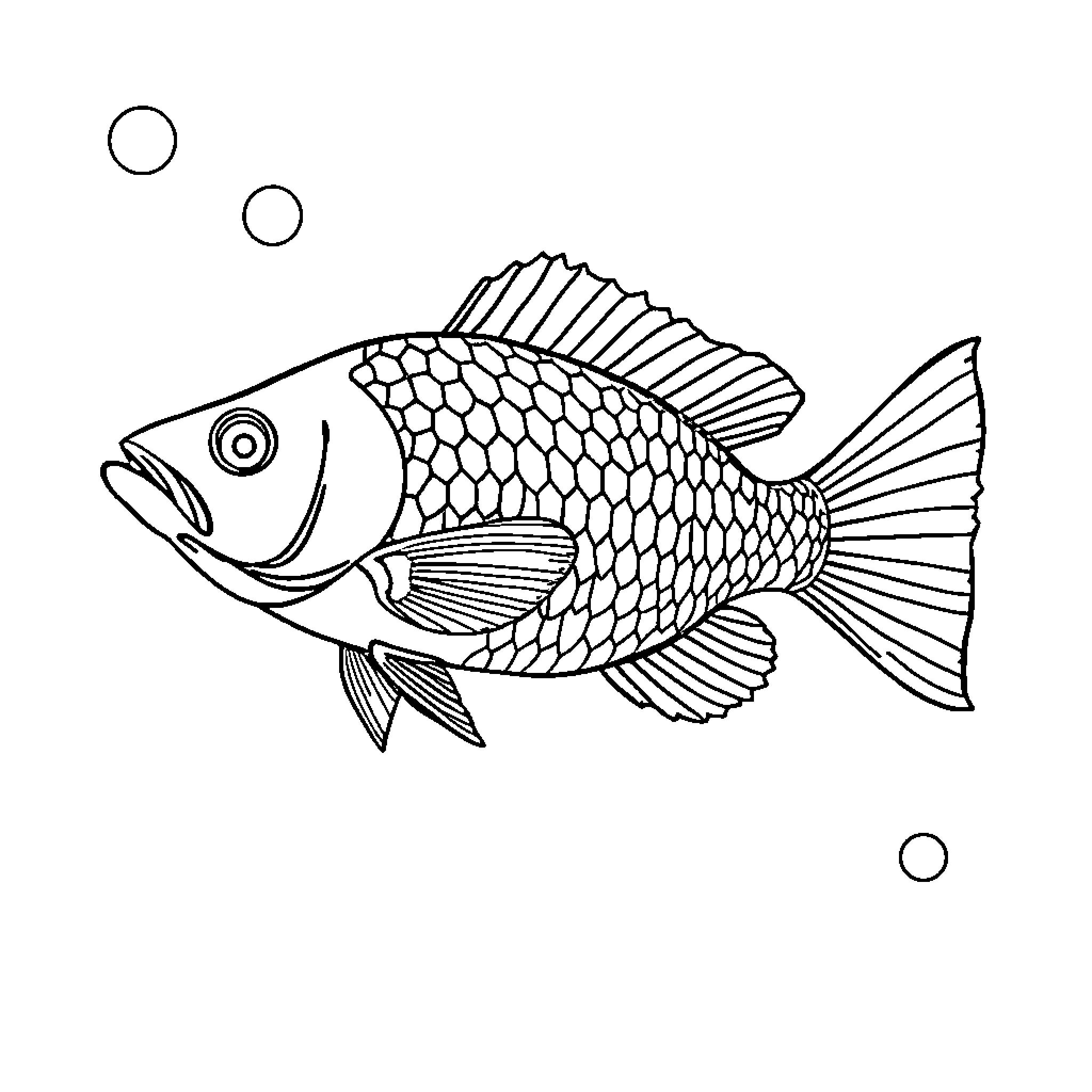 Fish swimming in underwater scene Coloring Page (free black-and-white line drawing printable PDF for all, from beginners to advanced learners, including children, teens, adults, and seniors)