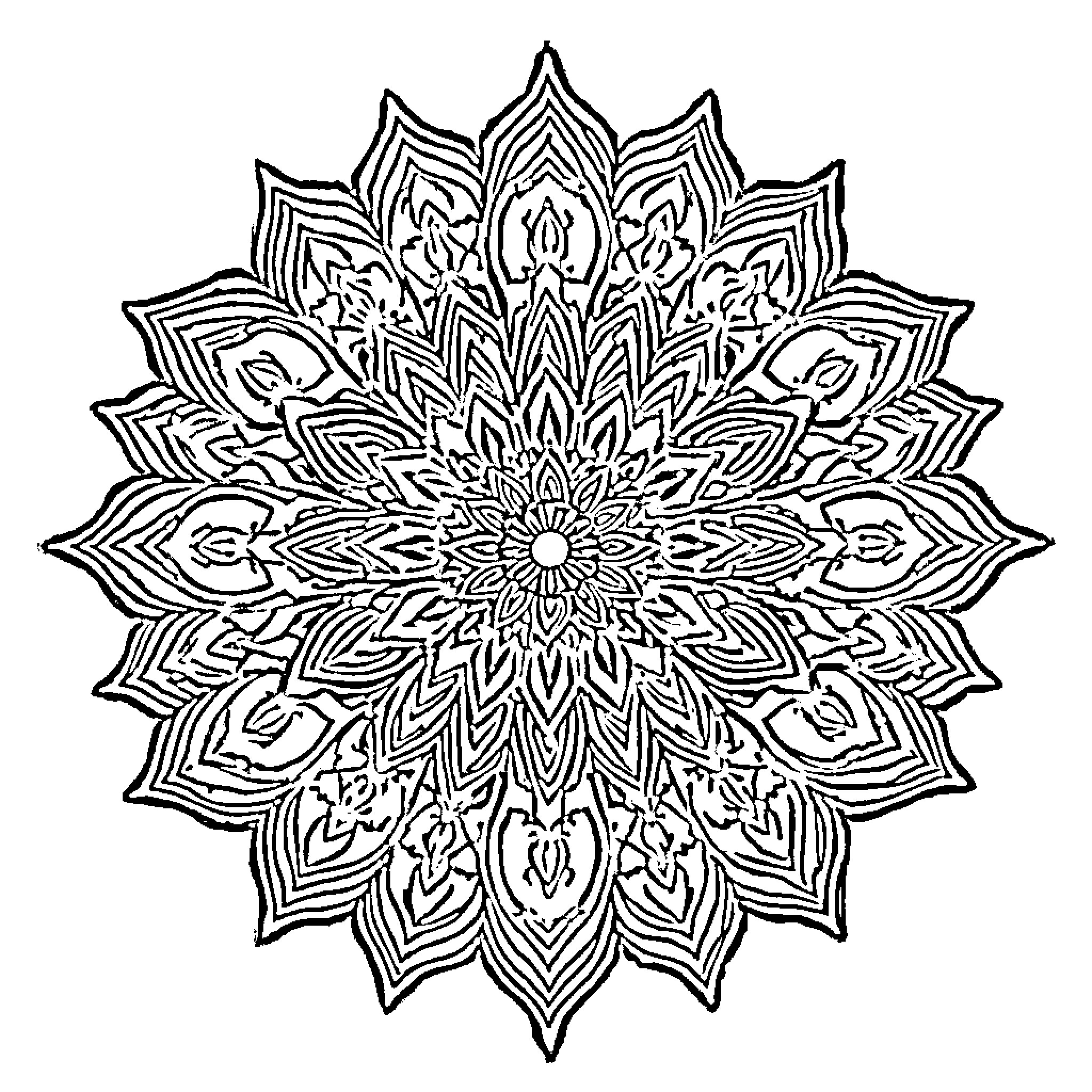 Mandala with intricate floral pattern and symmetrical design Coloring Page (free black-and-white line drawing printable PDF for all, from beginners to advanced learners, including children, teens, adults, and seniors)
