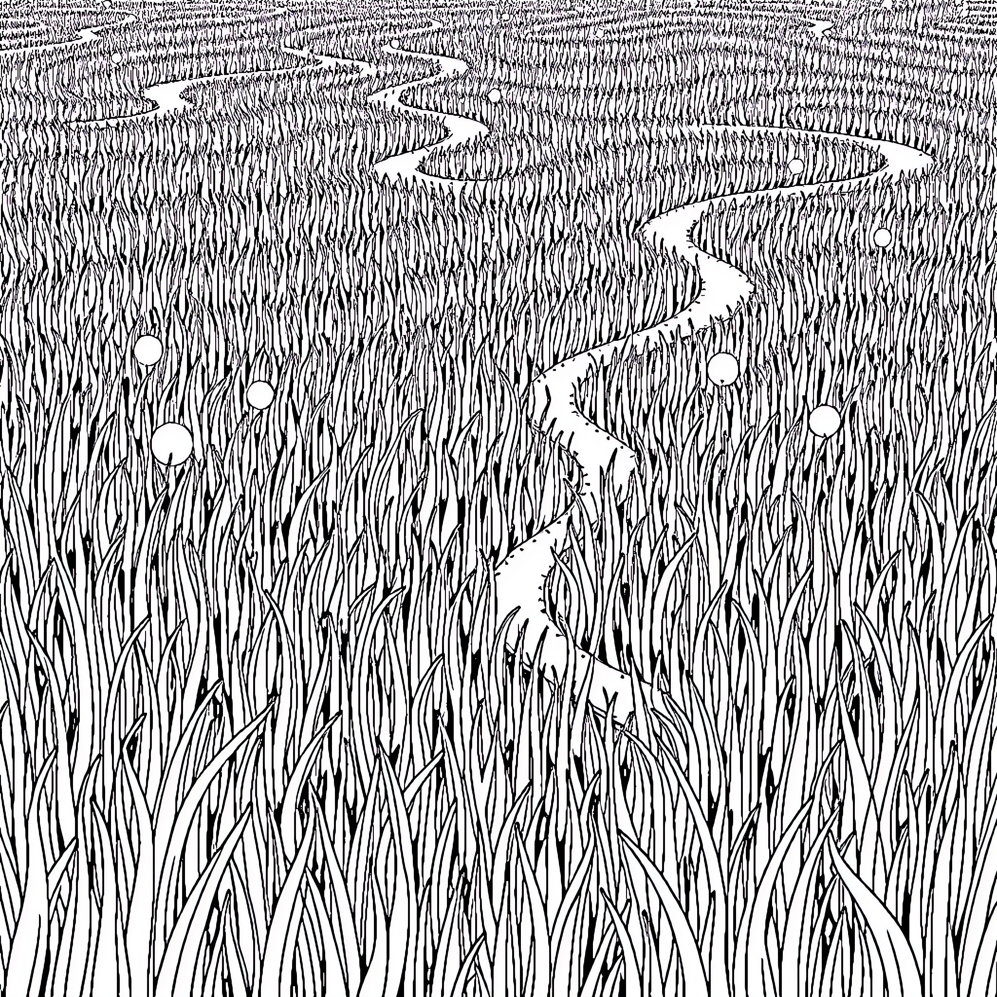 Sonic's Winding Path Through the Grasslands Coloring Page (free black-and-white line drawing printable PDF for all, from beginners to advanced learners, including children, teens, adults, and seniors)