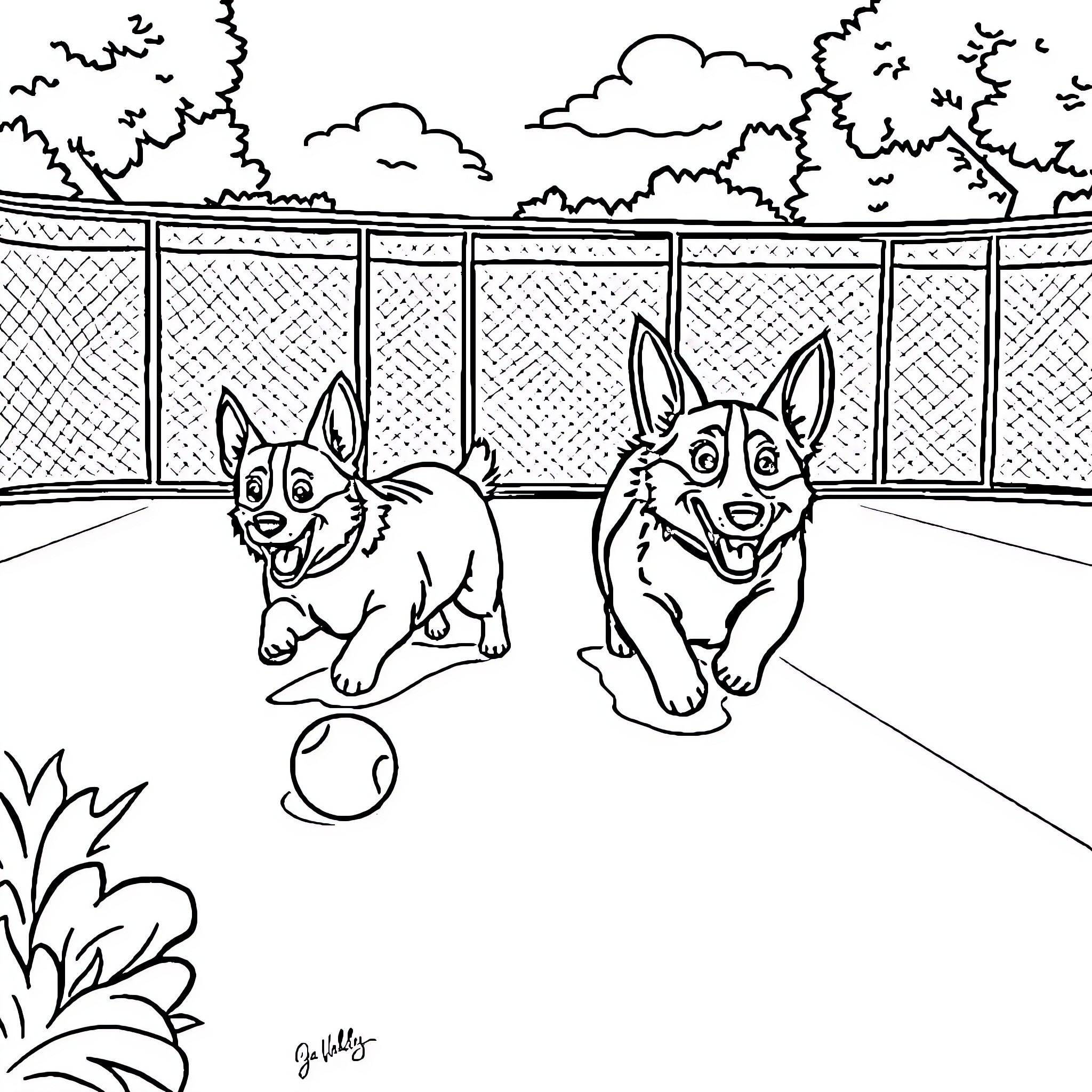 Corgi dogs playing happily in a fenced-in yard Coloring Page (free black-and-white line drawing printable PDF for all, from beginners to advanced learners, including children, teens, adults, and seniors)