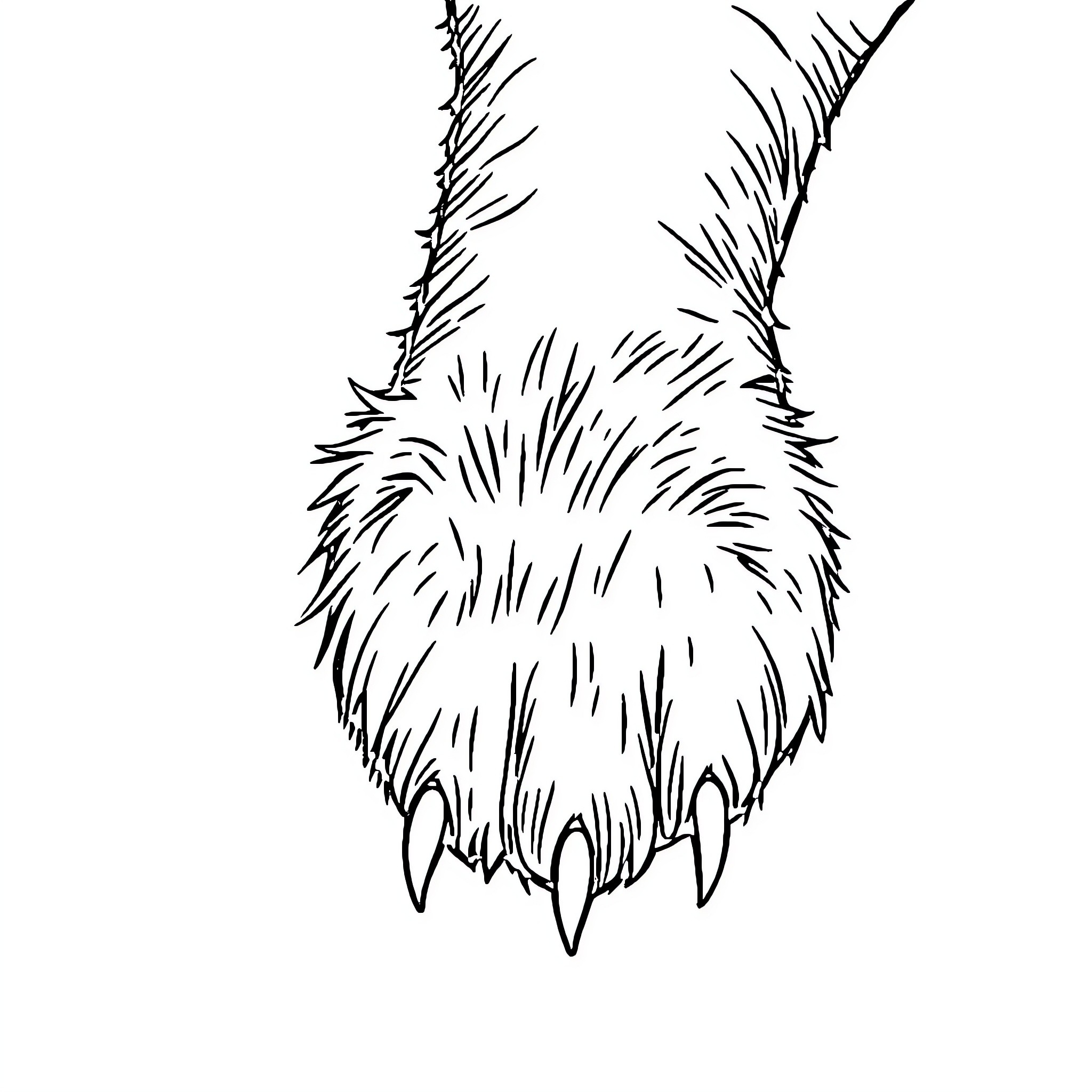Paw of furry creature Coloring Page (free black-and-white line drawing printable PDF for all, from beginners to advanced learners, including children, teens, adults, and seniors)