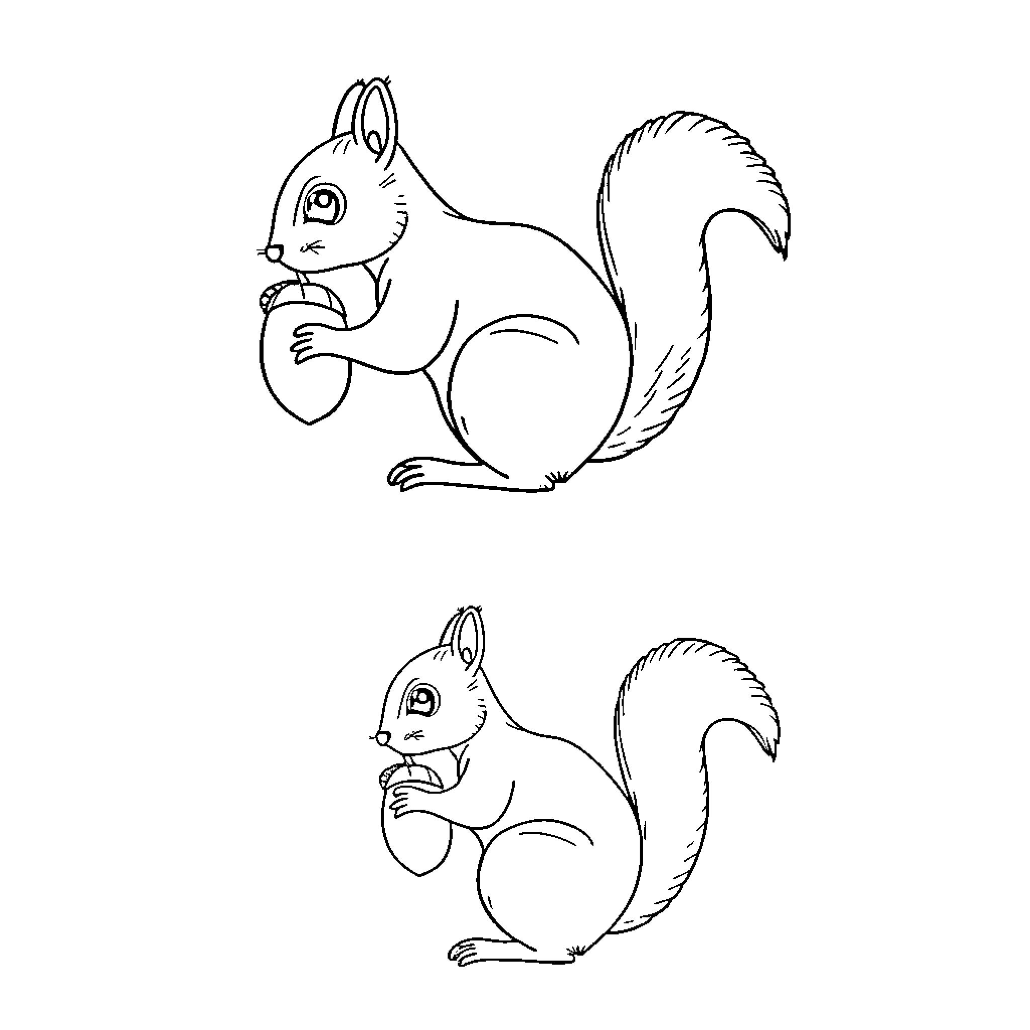 Squirrel enjoying a tasty treat Coloring Page (free black-and-white line drawing printable PDF for all, from beginners to advanced learners, including children, teens, adults, and seniors)